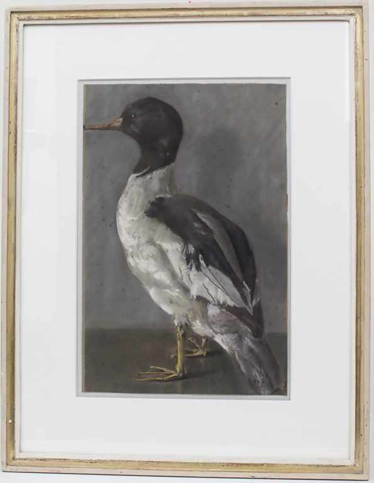 Künstler des 19. Jh., Tierporträt 'Ente' / An animal portrait 'Duck'Technik: Pastellkreide auf - Image 3 of 11