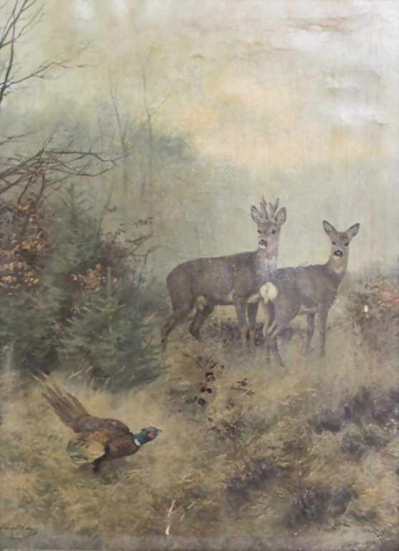 Josef Schmitzberger (1851-c.1936) (Zuschreibung / Attributed), 'Rehe und Fasan' / 'A pheasant and