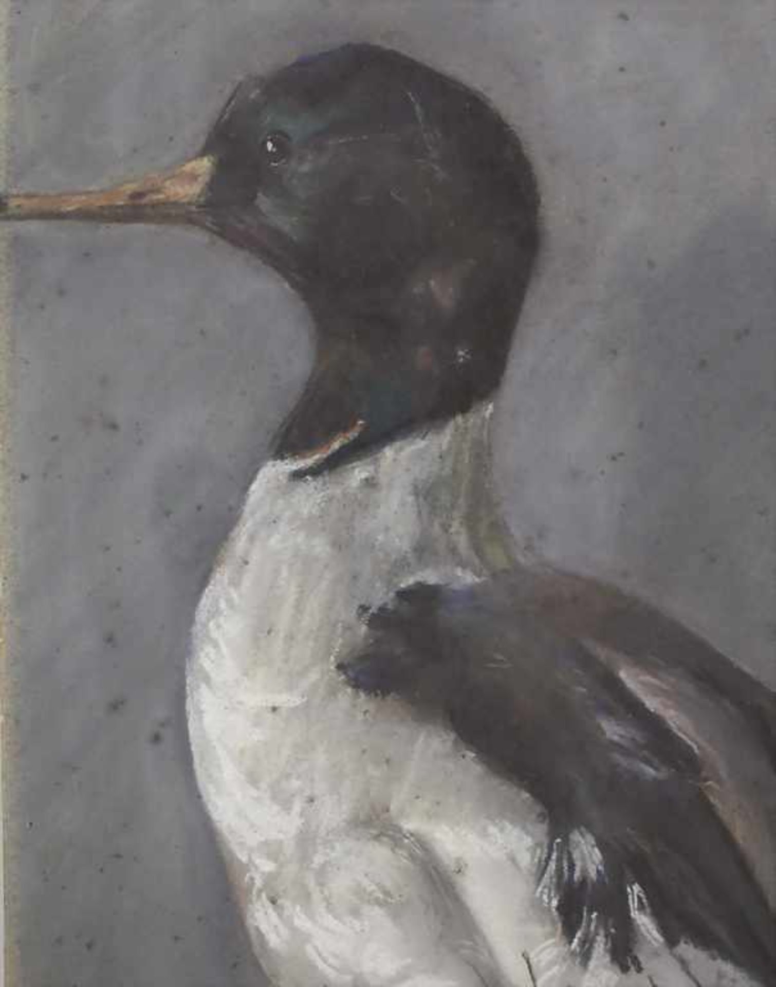Künstler des 19. Jh., Tierporträt 'Ente' / An animal portrait 'Duck'Technik: Pastellkreide auf - Image 6 of 11