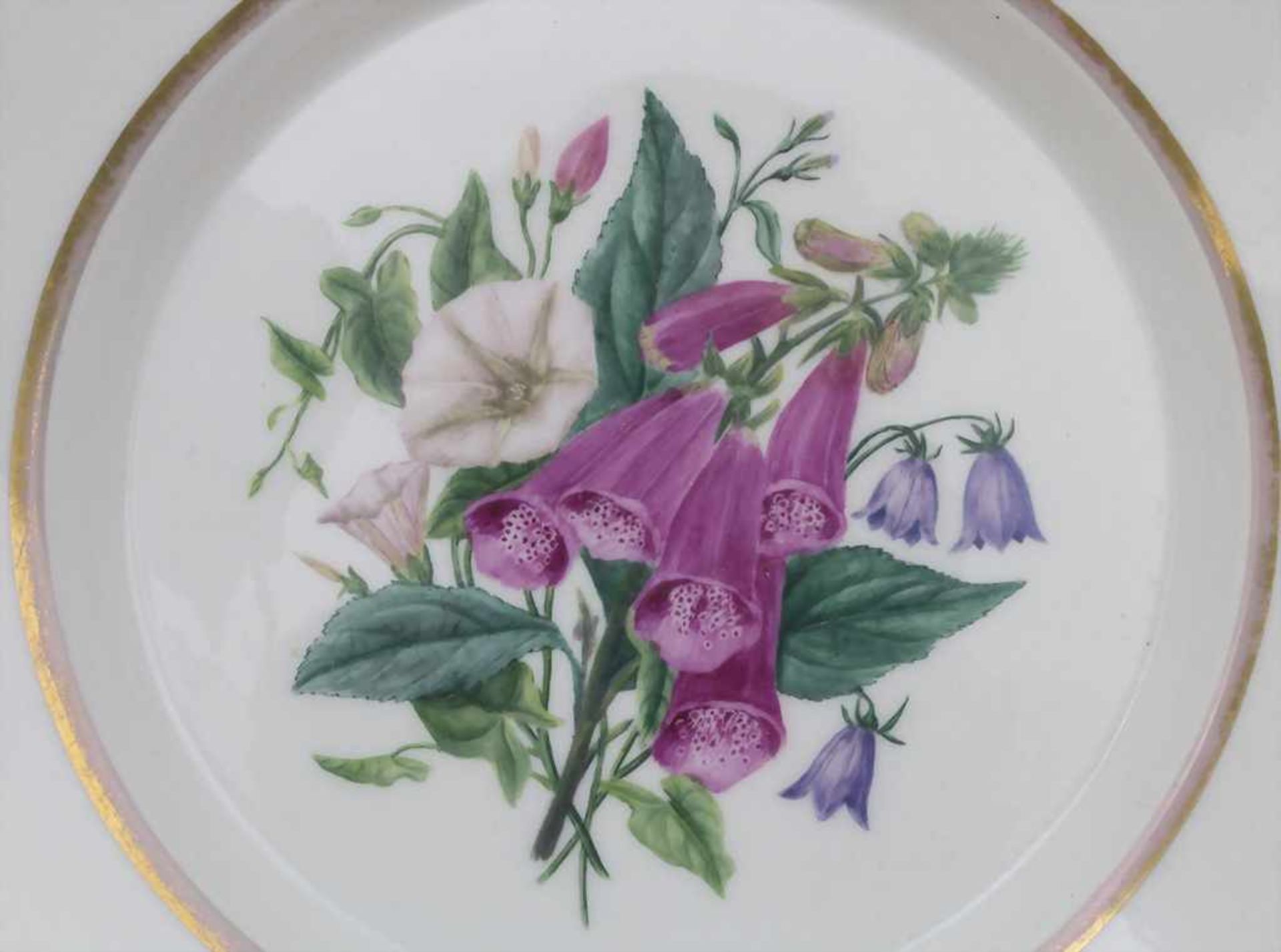 2 Teller mit 'Fingerhut' und 'Christrose' / 2 plates 'foxglove' and 'Christmas rose', KPM, Berlin, - Bild 6 aus 7