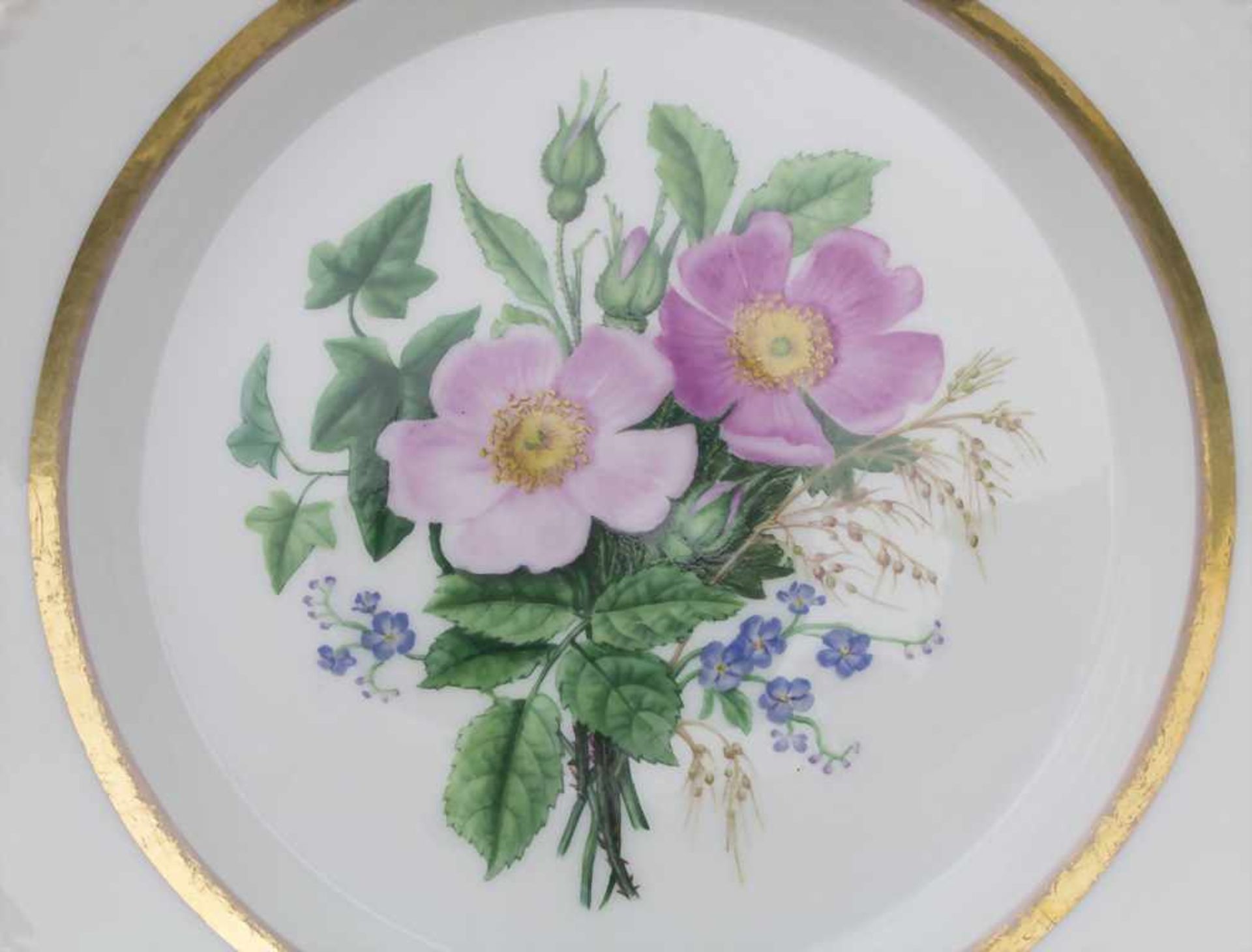 2 Teller mit 'Fingerhut' und 'Christrose' / 2 plates 'foxglove' and 'Christmas rose', KPM, Berlin, - Bild 7 aus 7