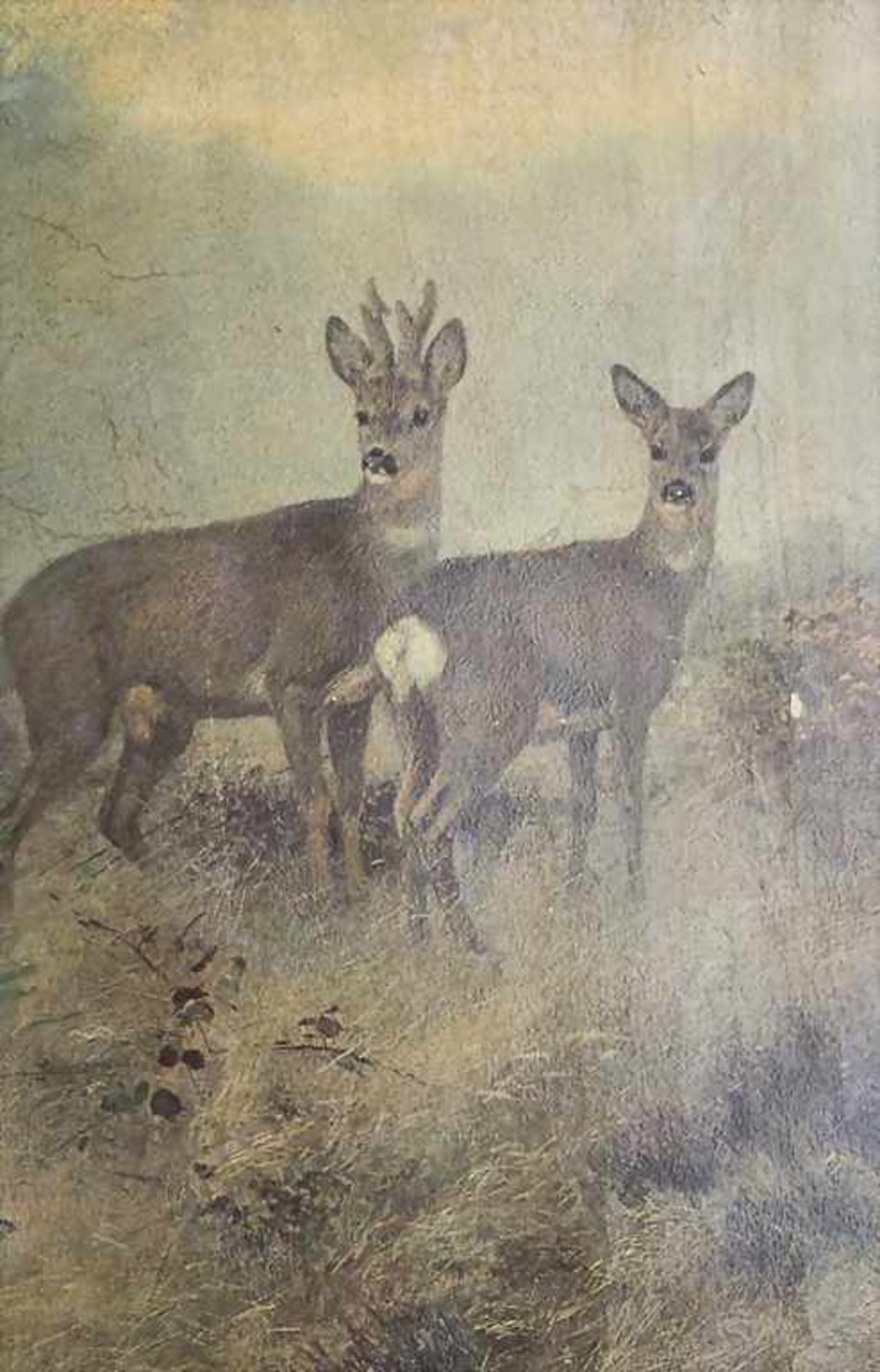 Josef Schmitzberger (1851-c.1936) (Zuschreibung / Attributed), 'Rehe und Fasan' / 'A pheasant and - Image 4 of 9