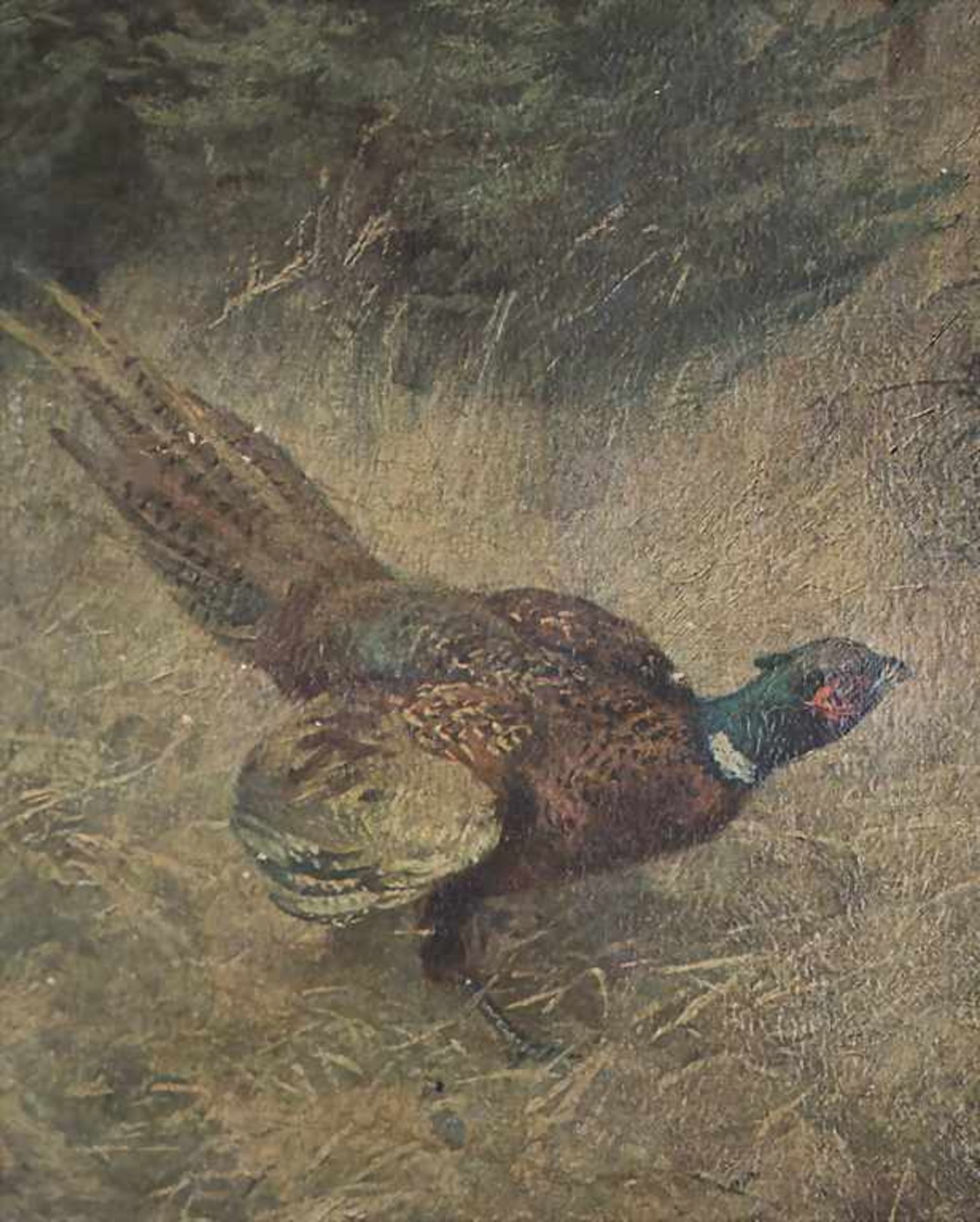 Josef Schmitzberger (1851-c.1936) (Zuschreibung / Attributed), 'Rehe und Fasan' / 'A pheasant and - Bild 5 aus 9