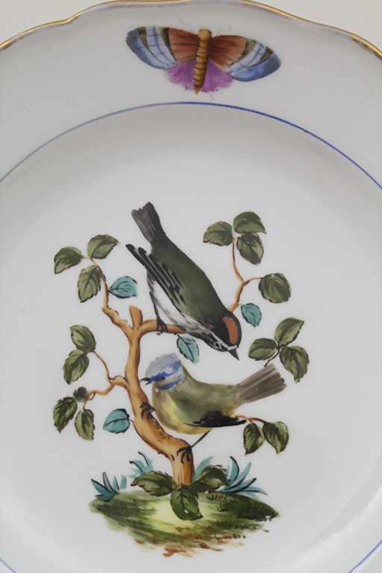 Teller mit Vogeldekor / A plate with birds, Meissen, 1. Hälfte 19. Jh.Material: Porzellan, polychrom - Bild 3 aus 6