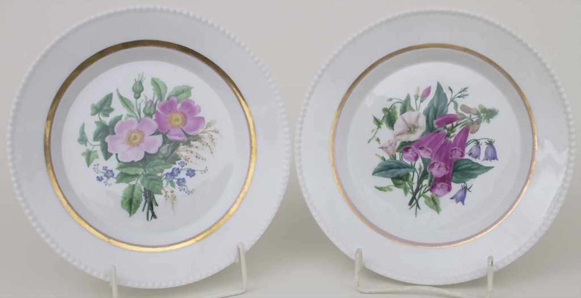 2 Teller mit 'Fingerhut' und 'Christrose' / 2 plates 'foxglove' and 'Christmas rose', KPM, Berlin,