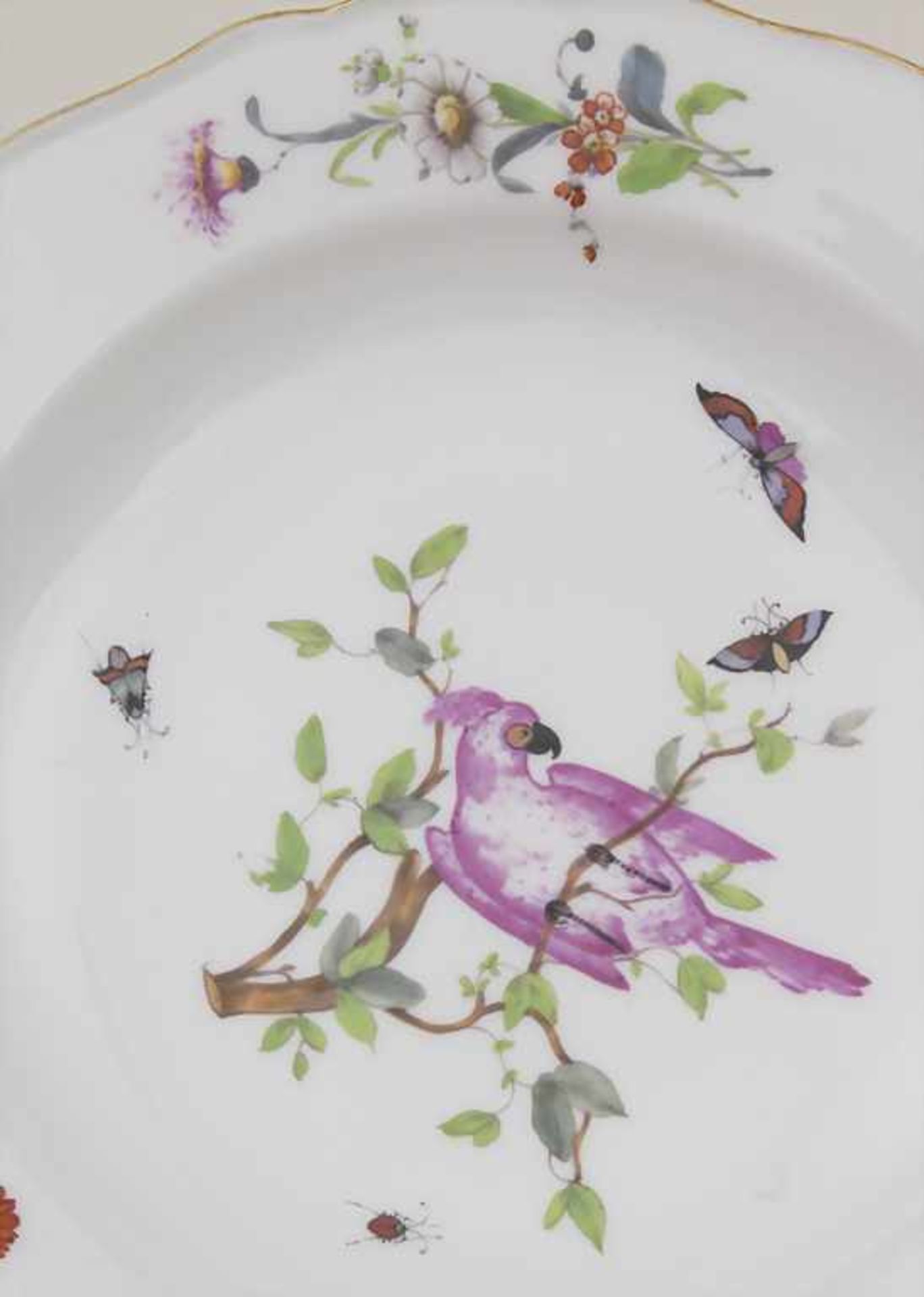 Zierteller mit Kakadu-, Insekten- und Blumenmalerei / A plate with cockatoos, insects and flowers, - Image 4 of 4