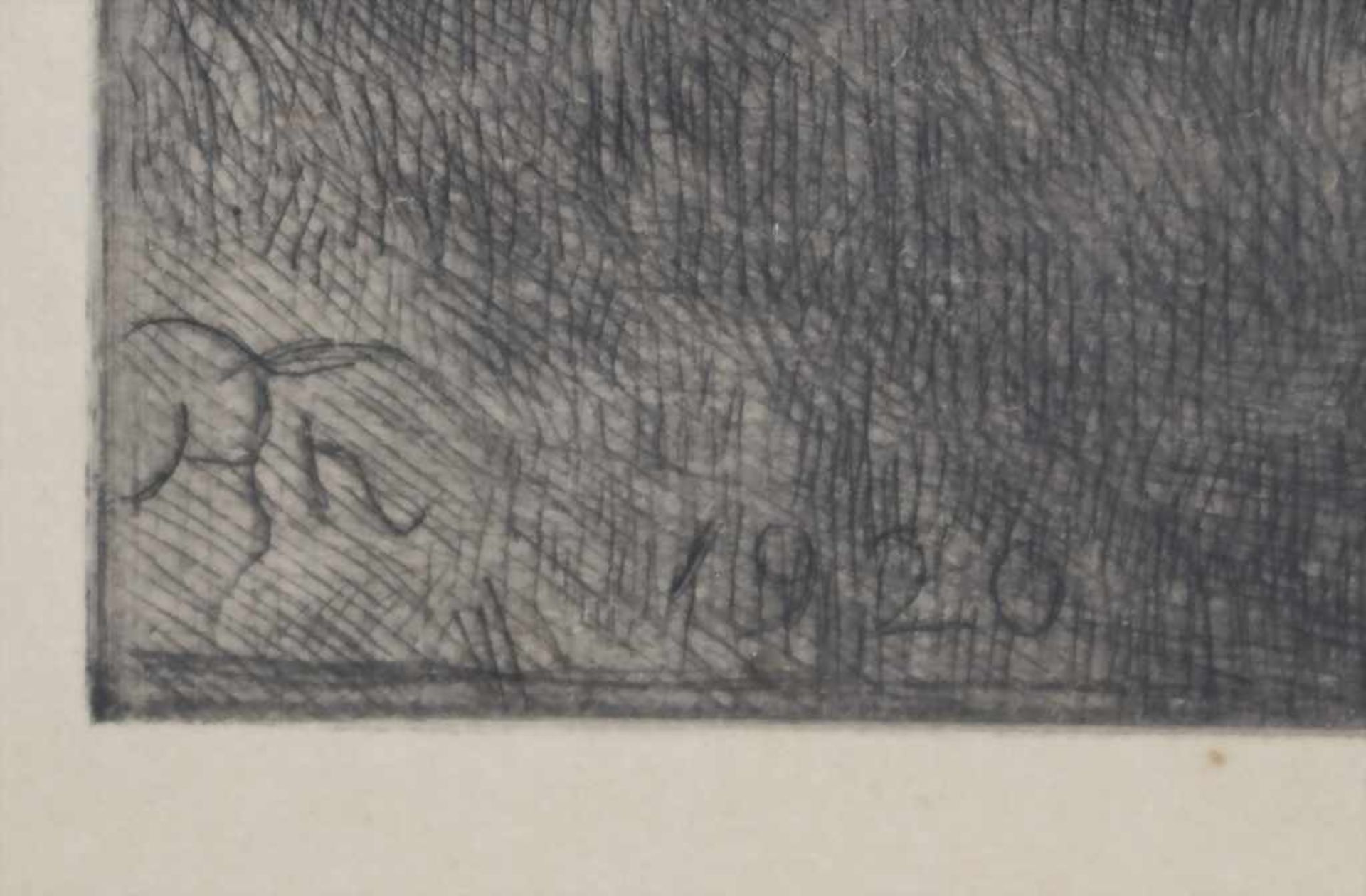 Hans Thoma (1839-1924), 'Wundervögel'Technik: Radierung auf Papier, gerahmt, hinter Glas, Datierung: - Image 7 of 11