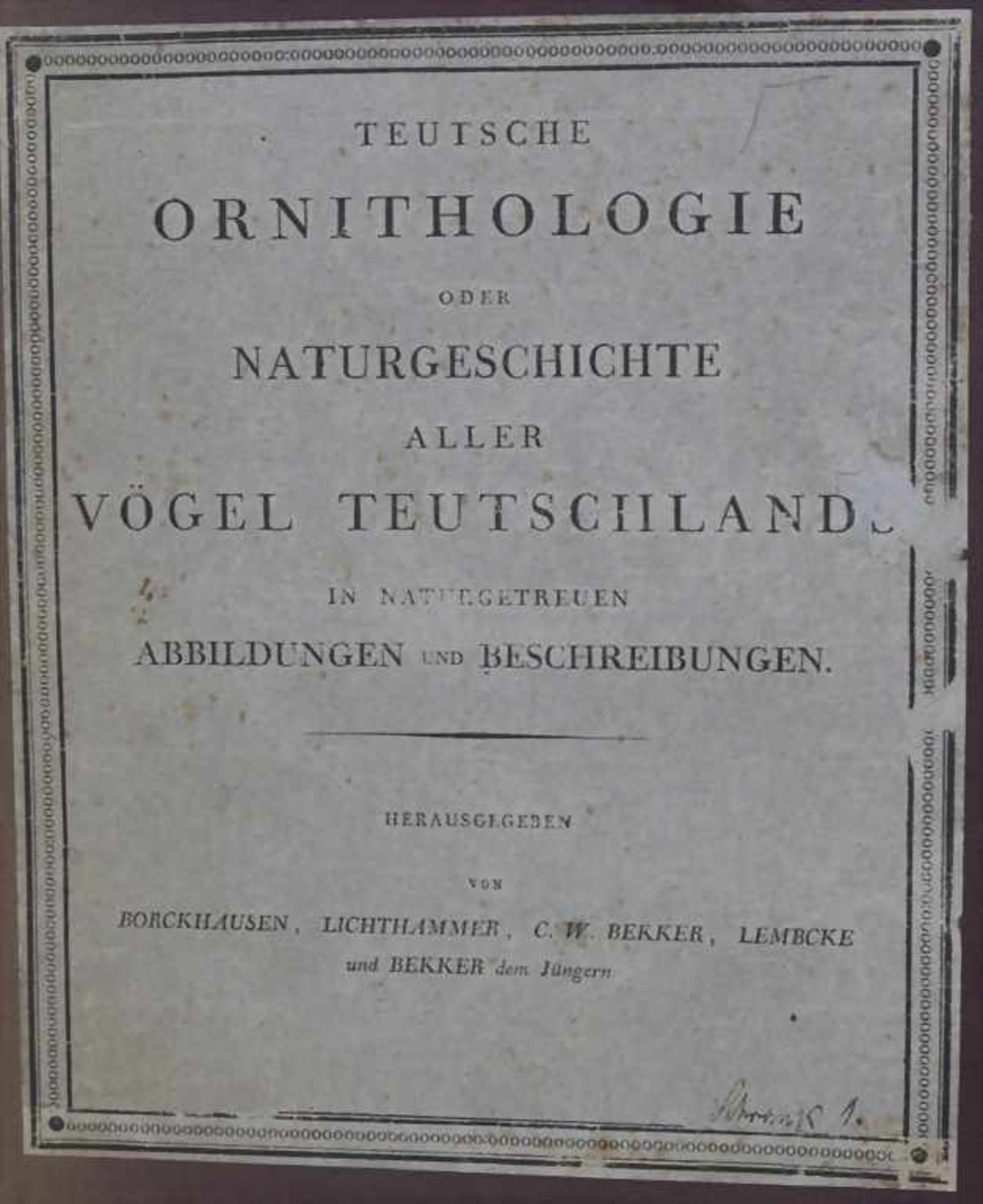 J.C. Susemihl (1767-nach 1848), 'Teutsche Ornithologie oder Naturgeschichte aller VögelTechnik: 20 - Image 3 of 17