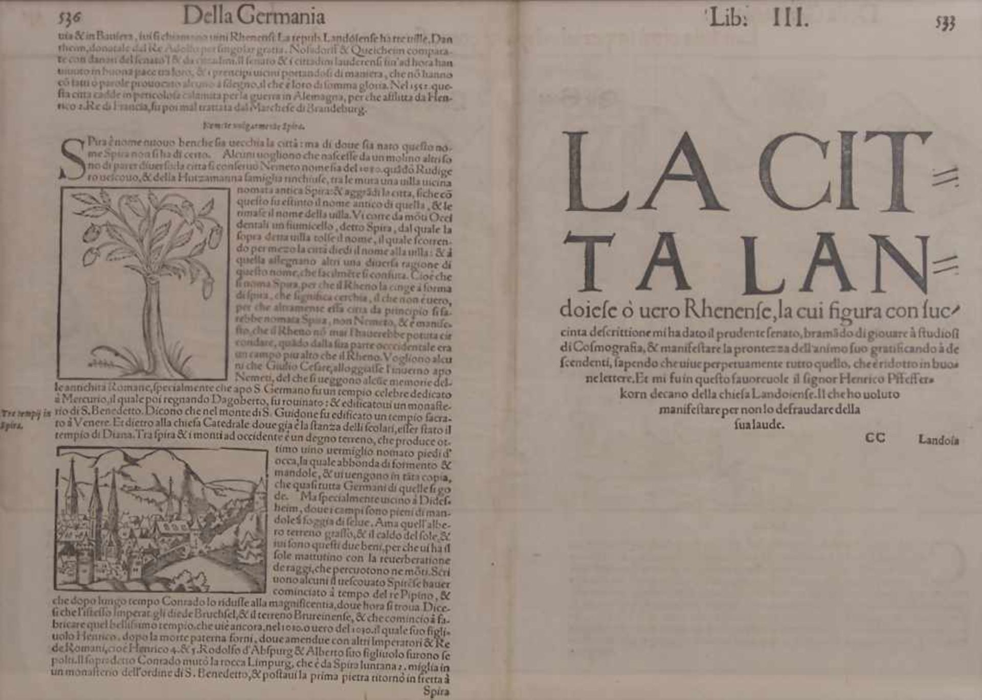Sebastian Münster (1489-1552), Historische Ansicht von Landau / A historic view of LandauTitel: - Bild 3 aus 4