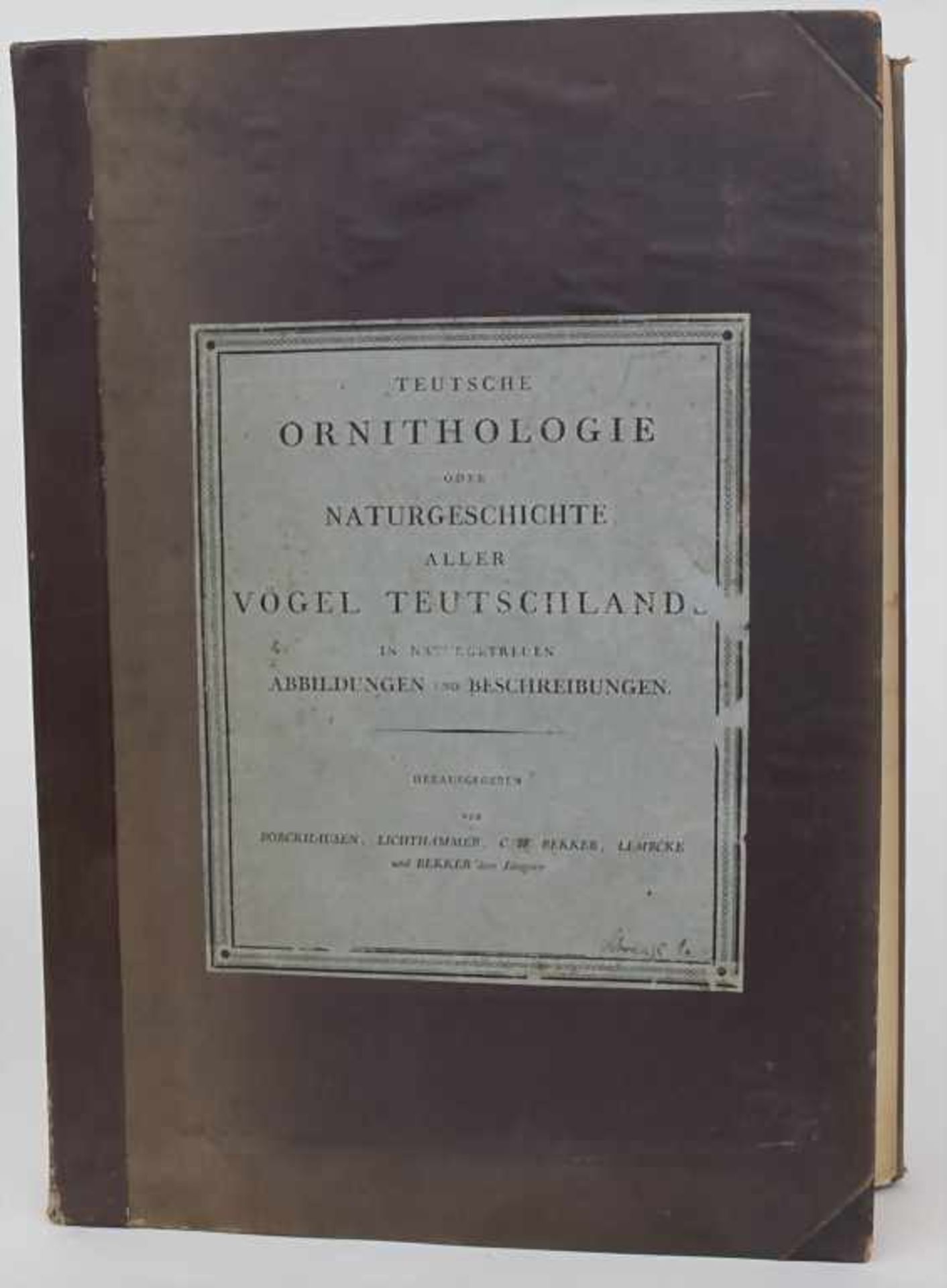 J.C. Susemihl (1767-nach 1848), 'Teutsche Ornithologie oder Naturgeschichte aller VögelTechnik: 20