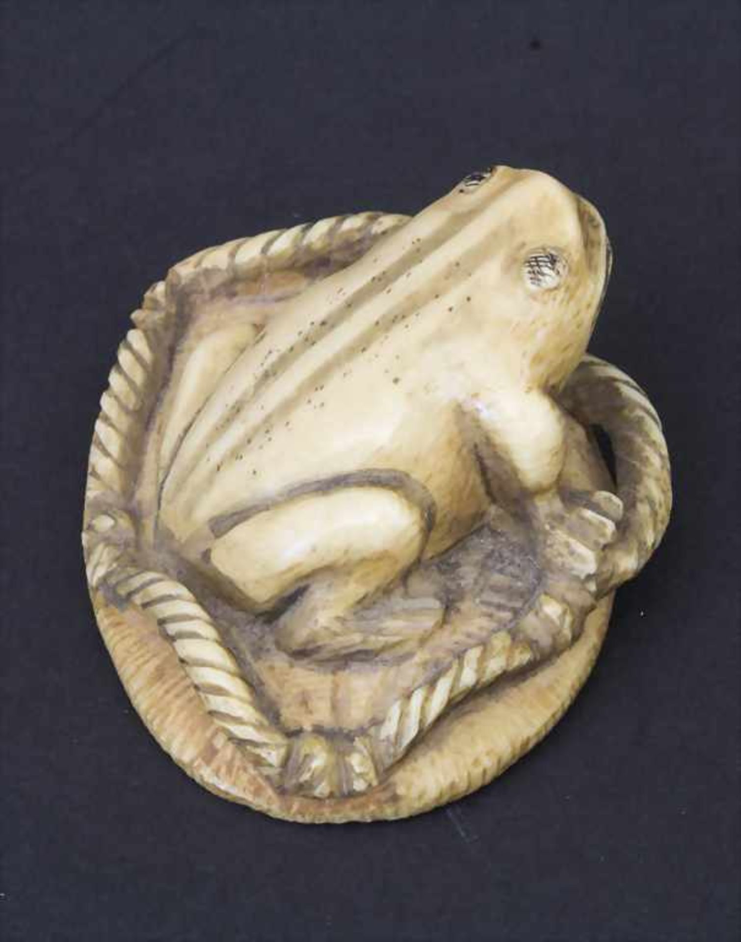 Netsuke 'Frosch' / Netsuke 'Frog', Japan, um 1900Material: Elfenbein, geschnitzt, partiell schwarz