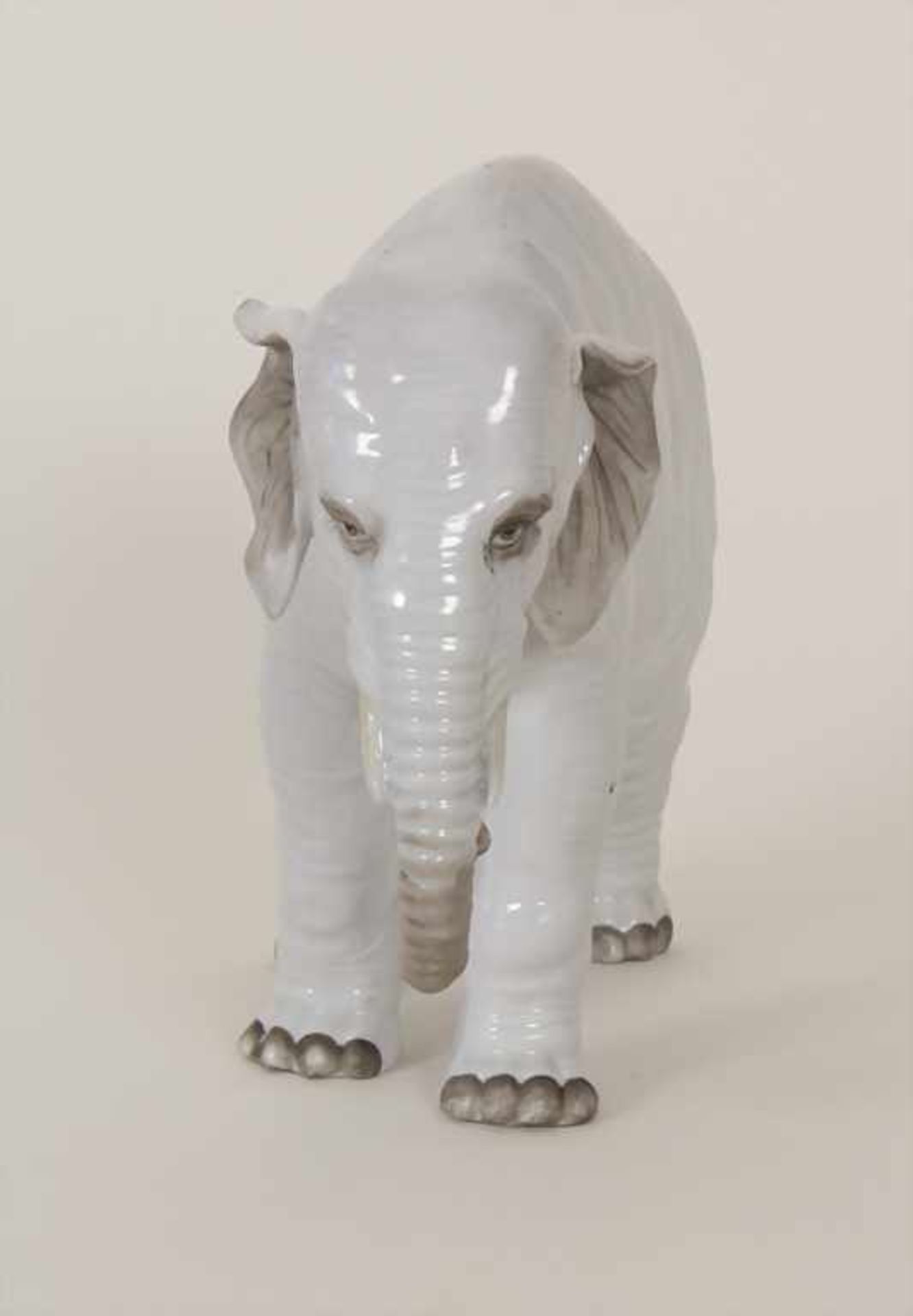 Alter indischer Elefant / An old Indian elephant, Plaue, um 1890Material: Porzellan, dezent bemalt - Bild 4 aus 7