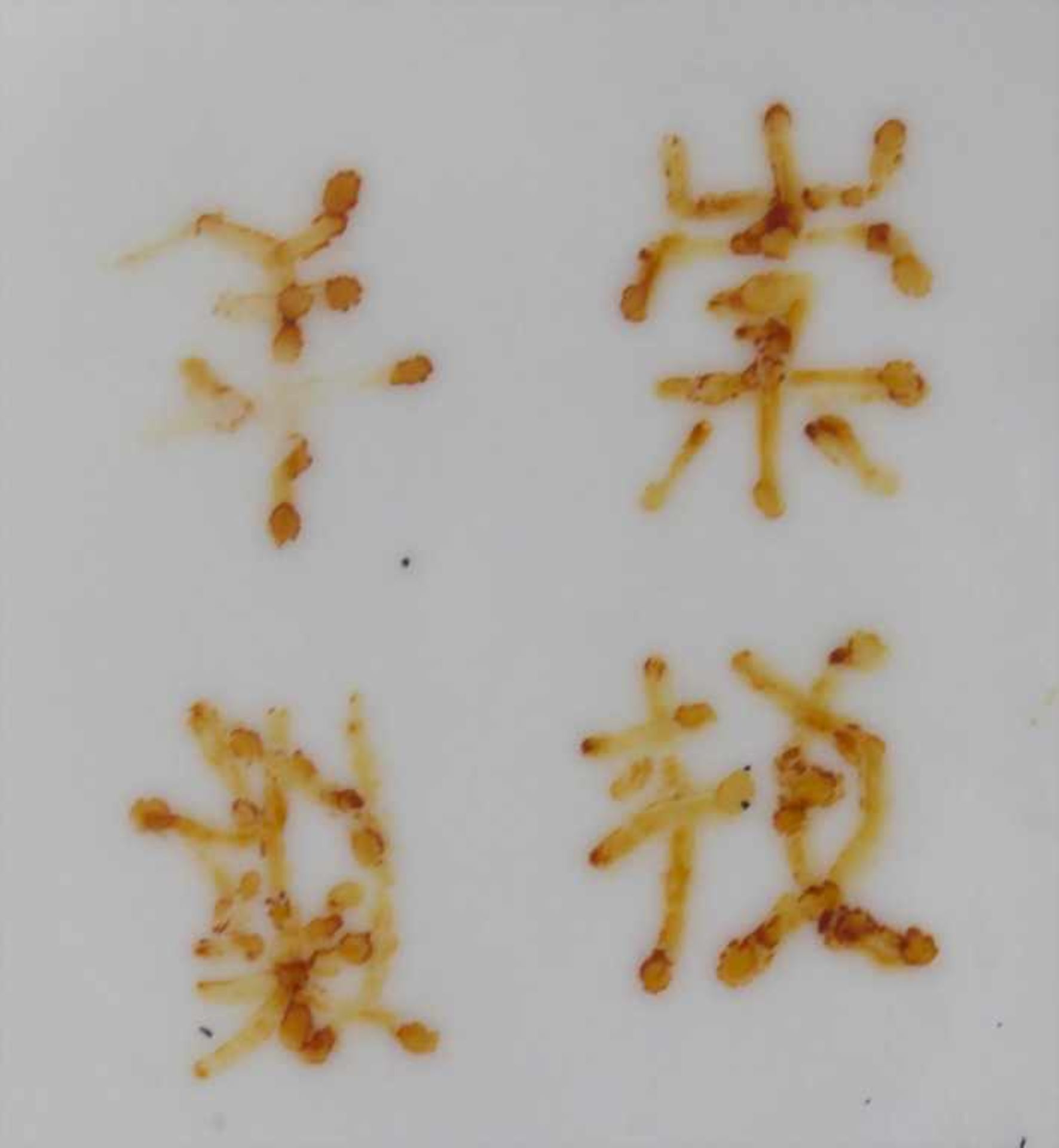 Ziervase, China, späte Qing-DynastieMaterial: Porzellan, polychrom mit Floral, Glückspfirsichen - Image 6 of 6