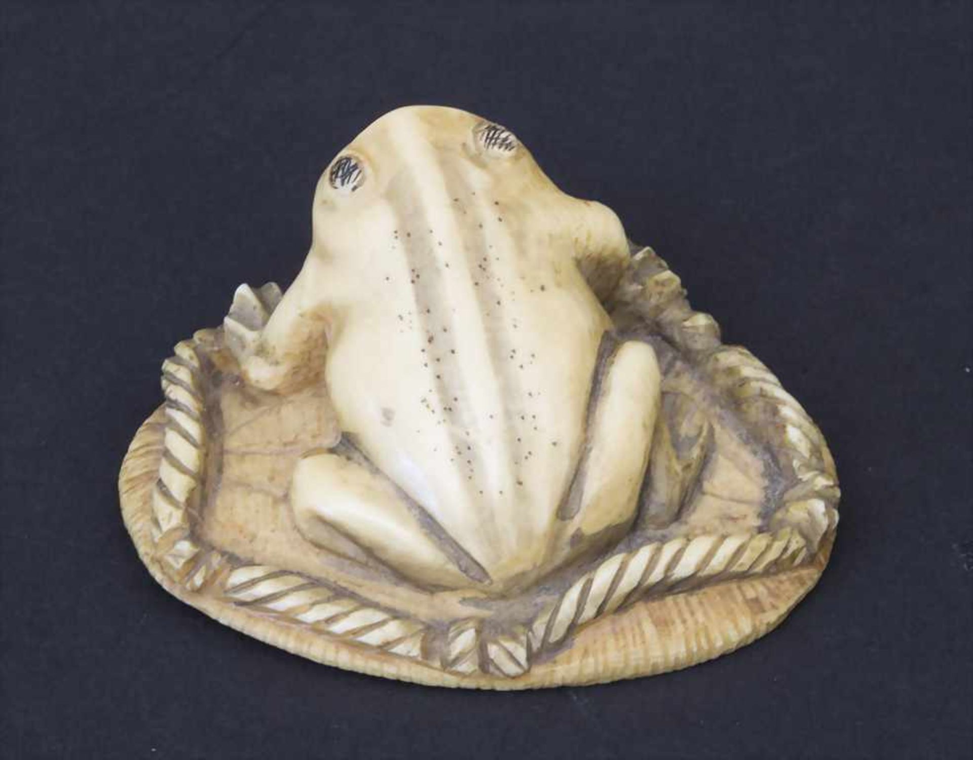 Netsuke 'Frosch' / Netsuke 'Frog', Japan, um 1900Material: Elfenbein, geschnitzt, partiell schwarz - Bild 3 aus 6