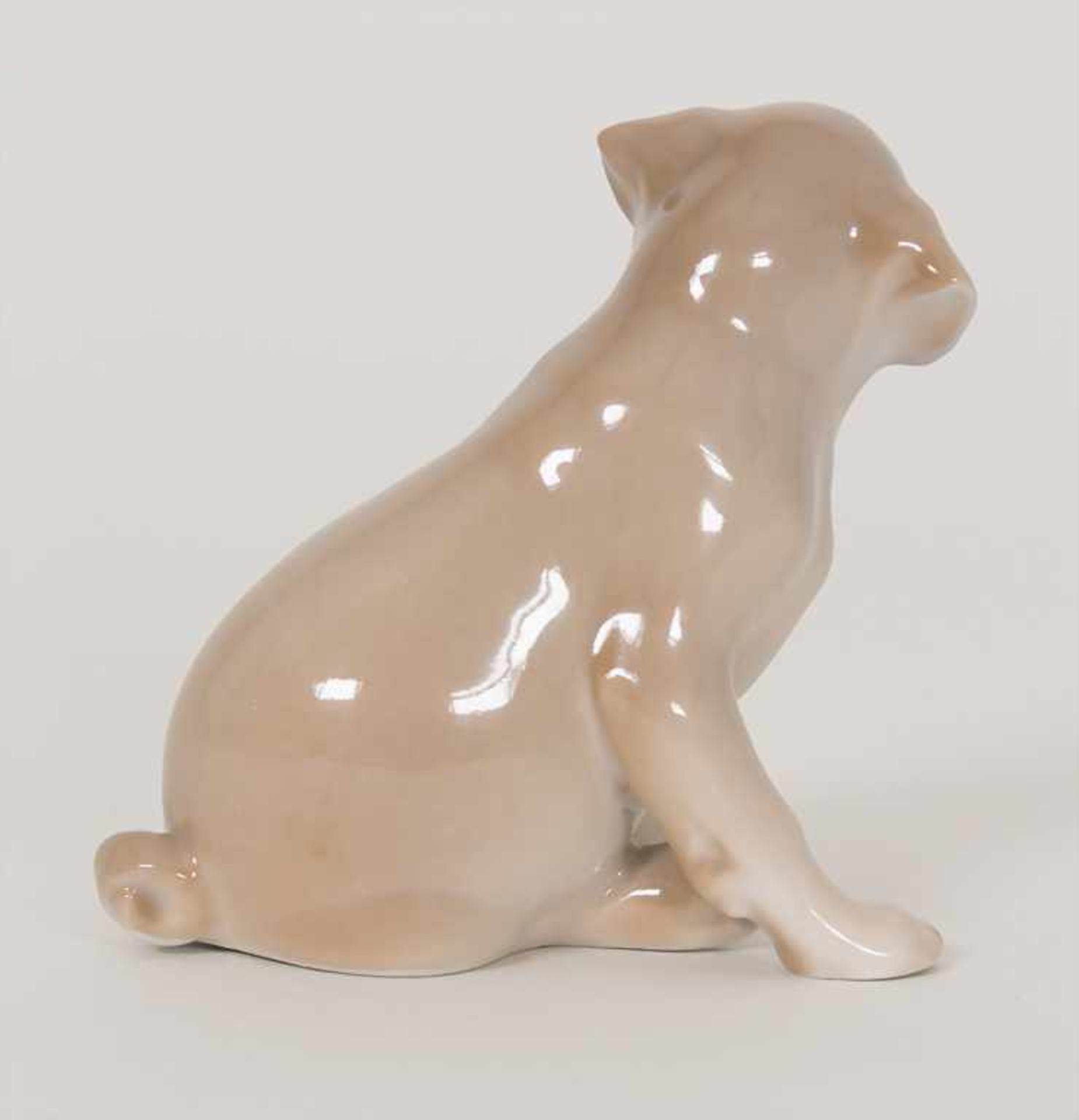 Mops Welpe / A pug puppy, Theodor Madsen, Royal Copenhagen, Mitte 20. Jh.Material: Porzellan, bemalt - Bild 2 aus 4