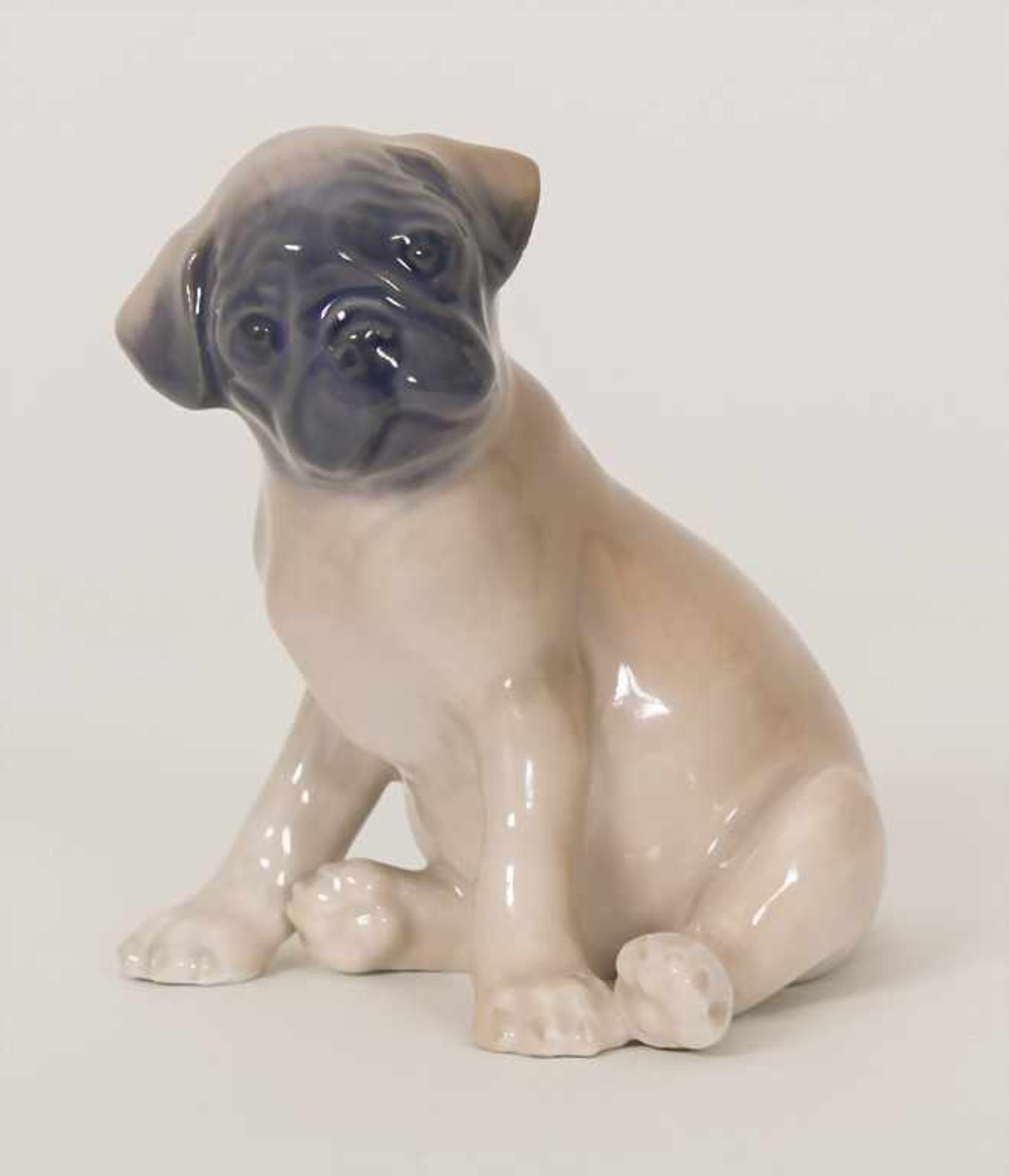 Mops Welpe / A pug puppy, Theodor Madsen, Royal Copenhagen, Mitte 20. Jh.Material: Porzellan, bemalt