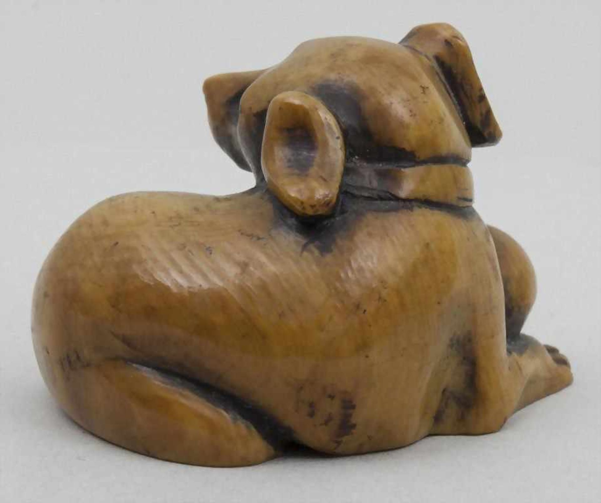 Netsuke, Hündin mit Welpe, Japan, 19. Jh.sehr feine Darstellung einer liegenden Hündin mit ihrem - Image 2 of 3