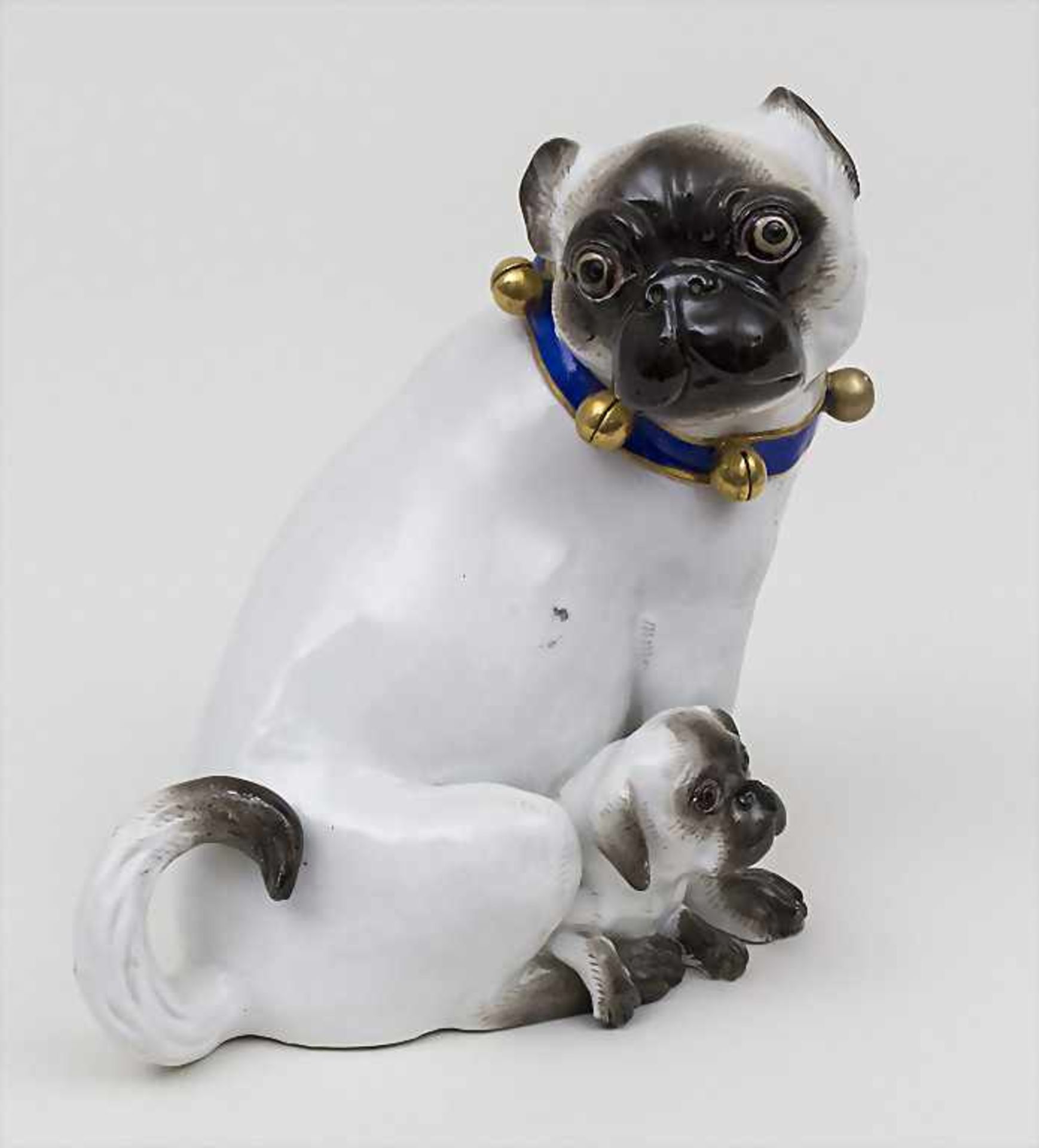 Mops mit Schellenhalsband und Welpe / A pug dog with a puppy, Meissen, Anfang 19. Jh.Material: