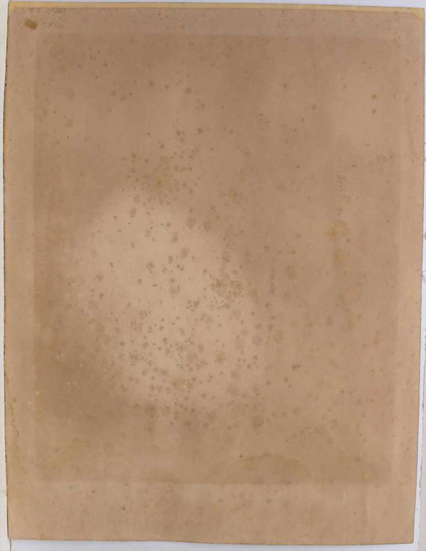 Salvador Dali (1904-1989), 'Ohne Titel' / 'Untitled'Technik: Farblithografie auf Papier, Signatur: - Bild 9 aus 9