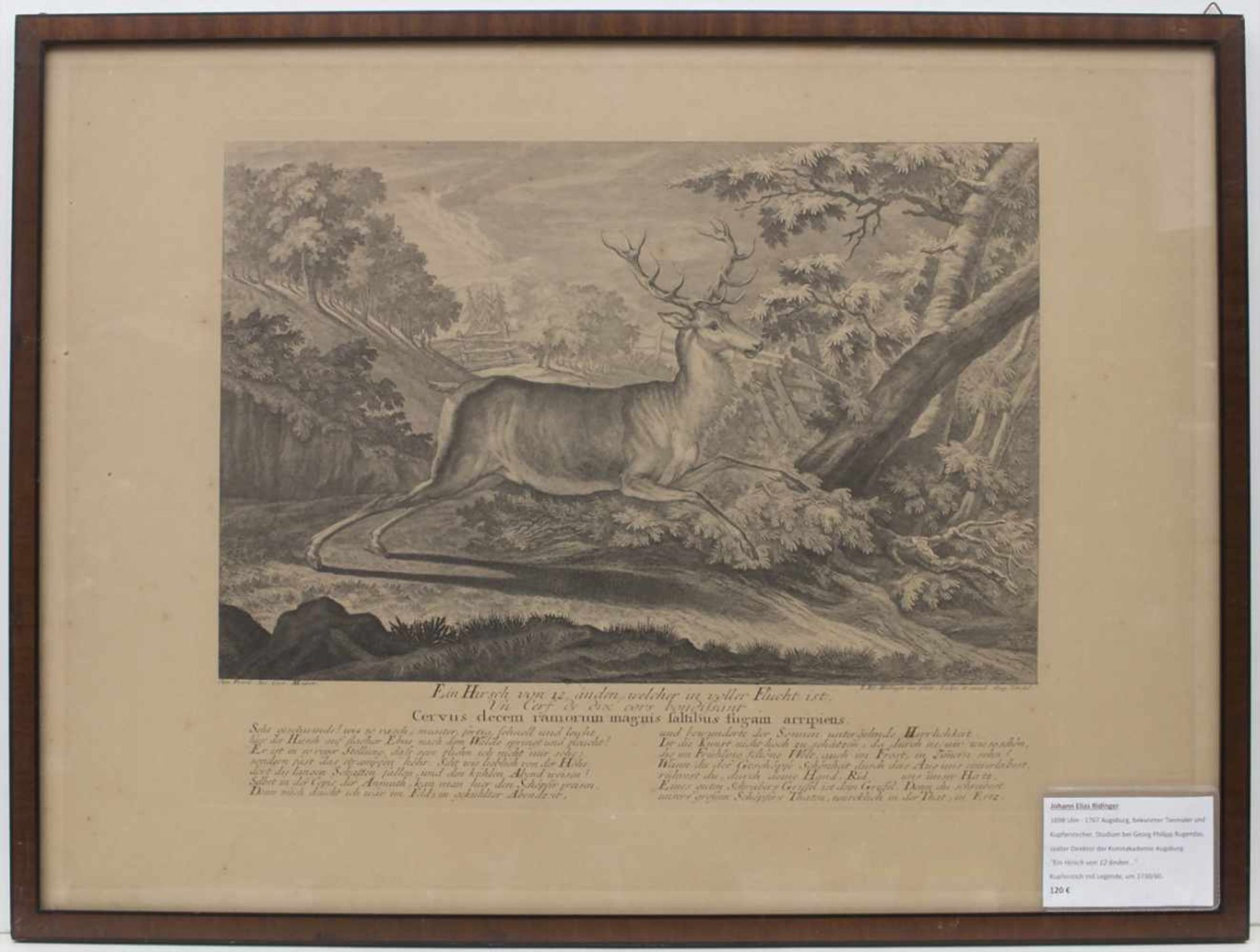 Johann Elias Riedinger (1698-1767), 'Ein Hirsch' / 'A Deer'Technik: Radierung auf Papier, gerahmt, - Bild 2 aus 7