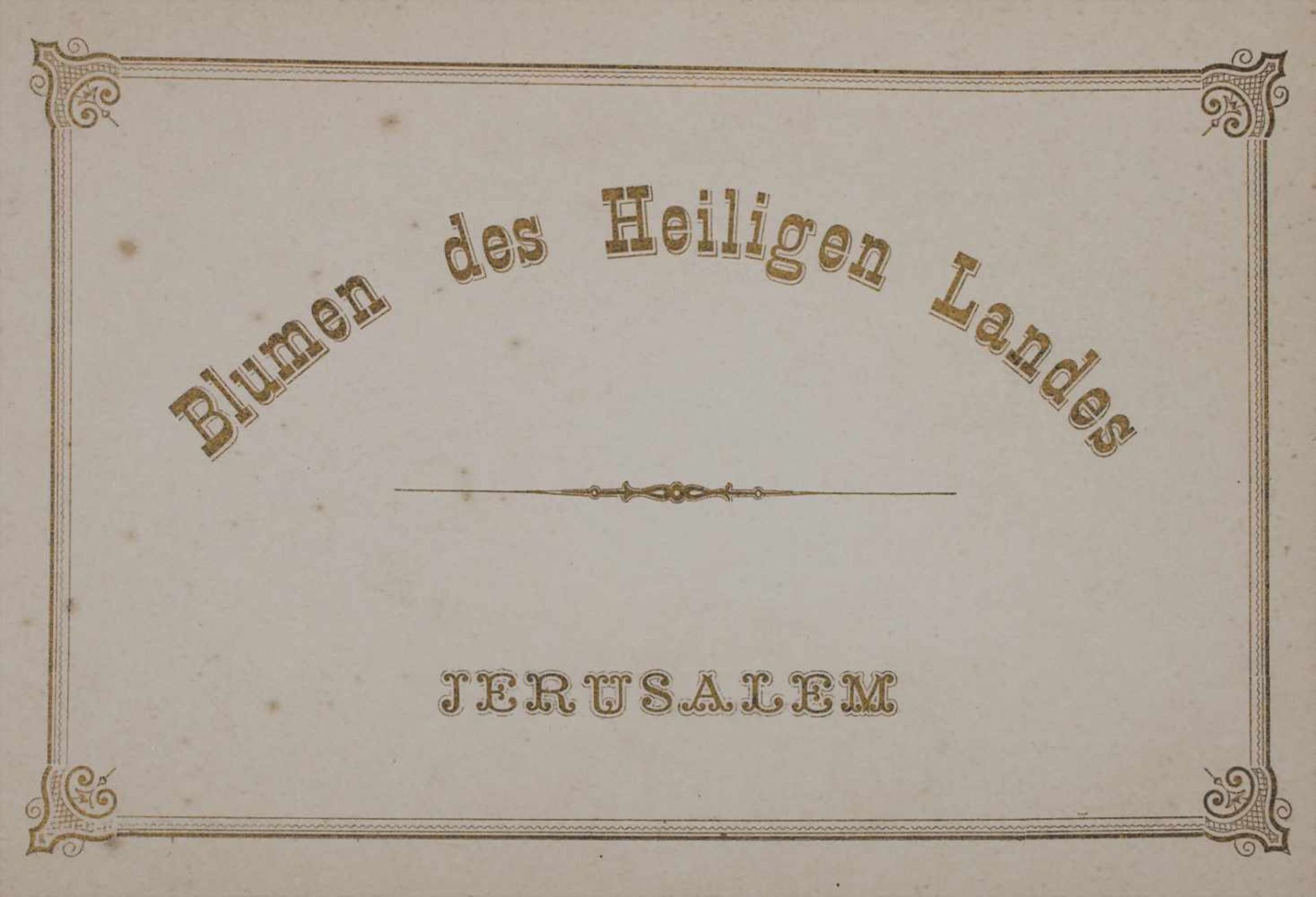 'Blumen des Heiligen Landes' / 'Flowers of the Holy Land', um 1890Material: Album mit 12 - Bild 3 aus 13