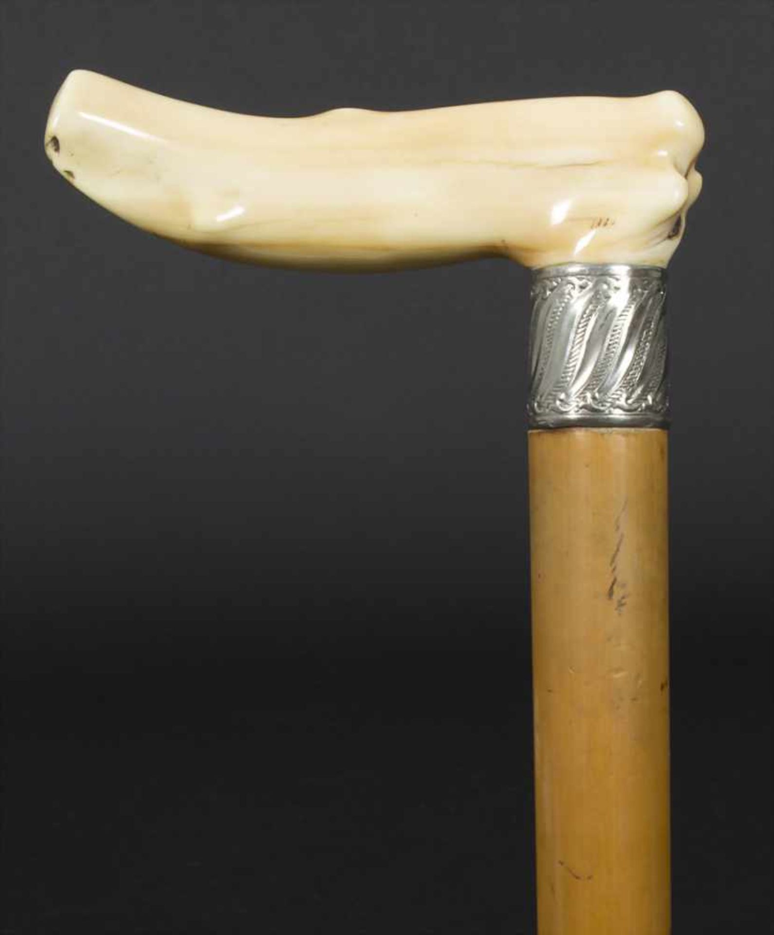 Gehstock mit Elfenbeingriff / A cane with ivory handle, um 1900Material: Malaccarohr (Schuss),