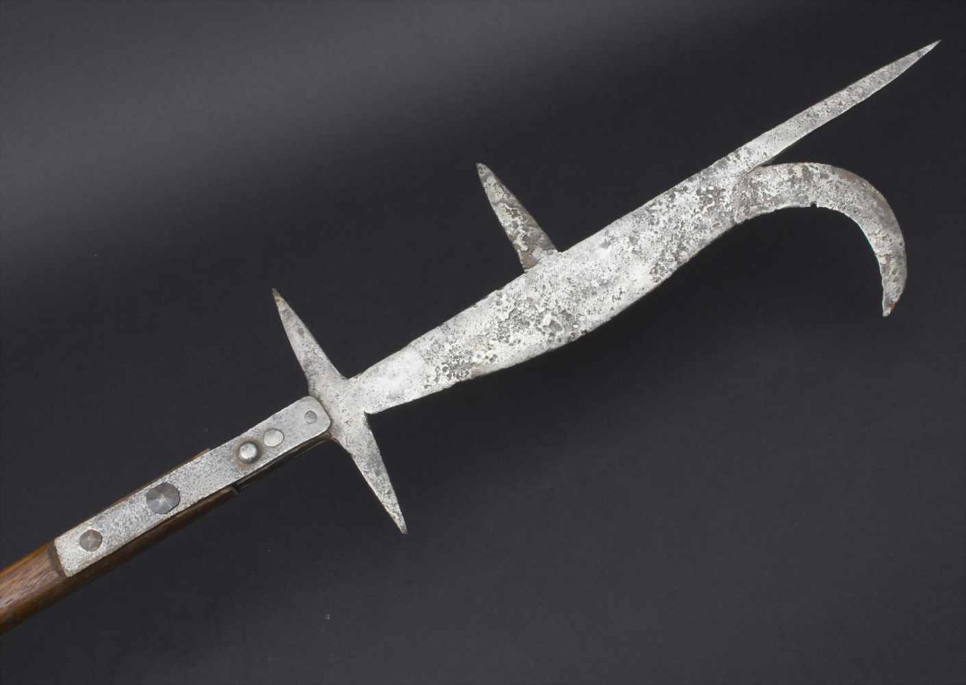 Stangenwaffe 'Hellebarde' / Polearm 'Halberd'Material: Eisen geschmiedet, Holz-Stange und Vernietung - Bild 2 aus 5