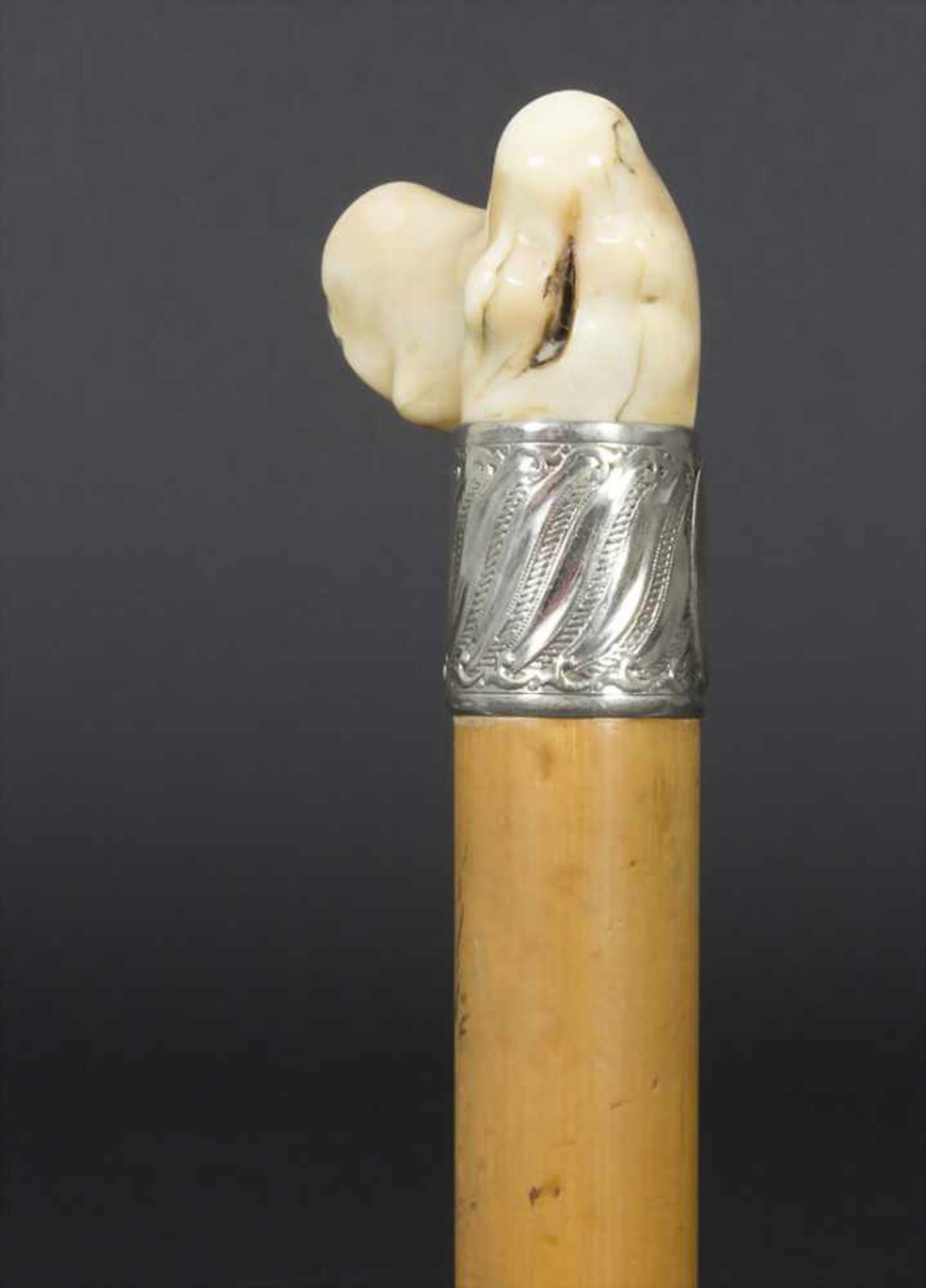 Gehstock mit Elfenbeingriff / A cane with ivory handle, um 1900Material: Malaccarohr (Schuss), - Bild 3 aus 5
