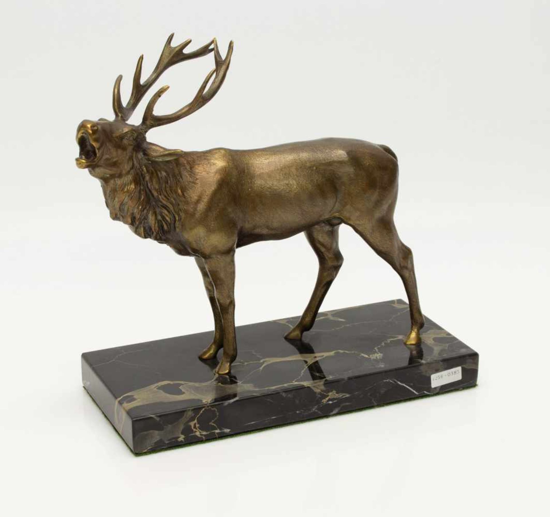 BronzehirschRöhrender Hirsch auf Marmorplatte, Weißbronze brünniert, H. 19 cm