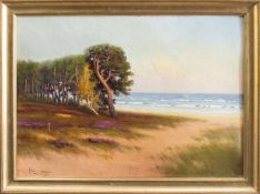 Unbekannt(Landschaftsmaler d. 1. Hälfte d. 20. Jh.)Sommerliche KüsteÖl/ Malpappe, 49 x 69 cm,