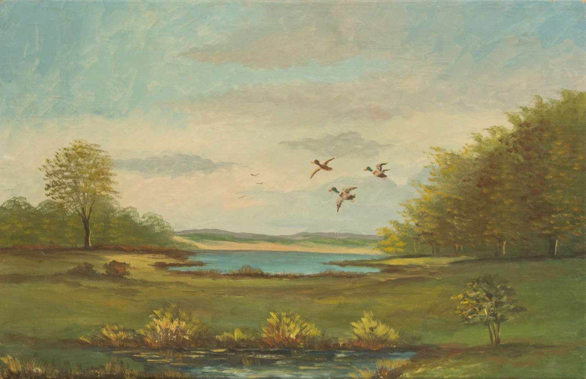 Unbekannt(Landschaftsmaler des 20. Jh.)Wildenten über SeeÖl/ Leinwand, 60 x 94 cm, ungerahmt,