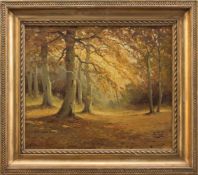 P. Fox(Landschaftsmaler zur Mitte des 20. Jh.)HerbstwaldÖl/ Leinwand, 50 x 58 cm, gerahmt,