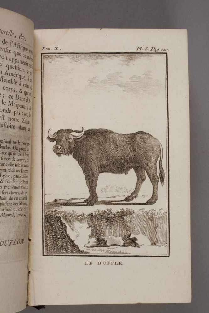 Comte de Buffon Histoire naturelle, générale et particulière, par M. de Buffon, Intendant du - Image 3 of 3