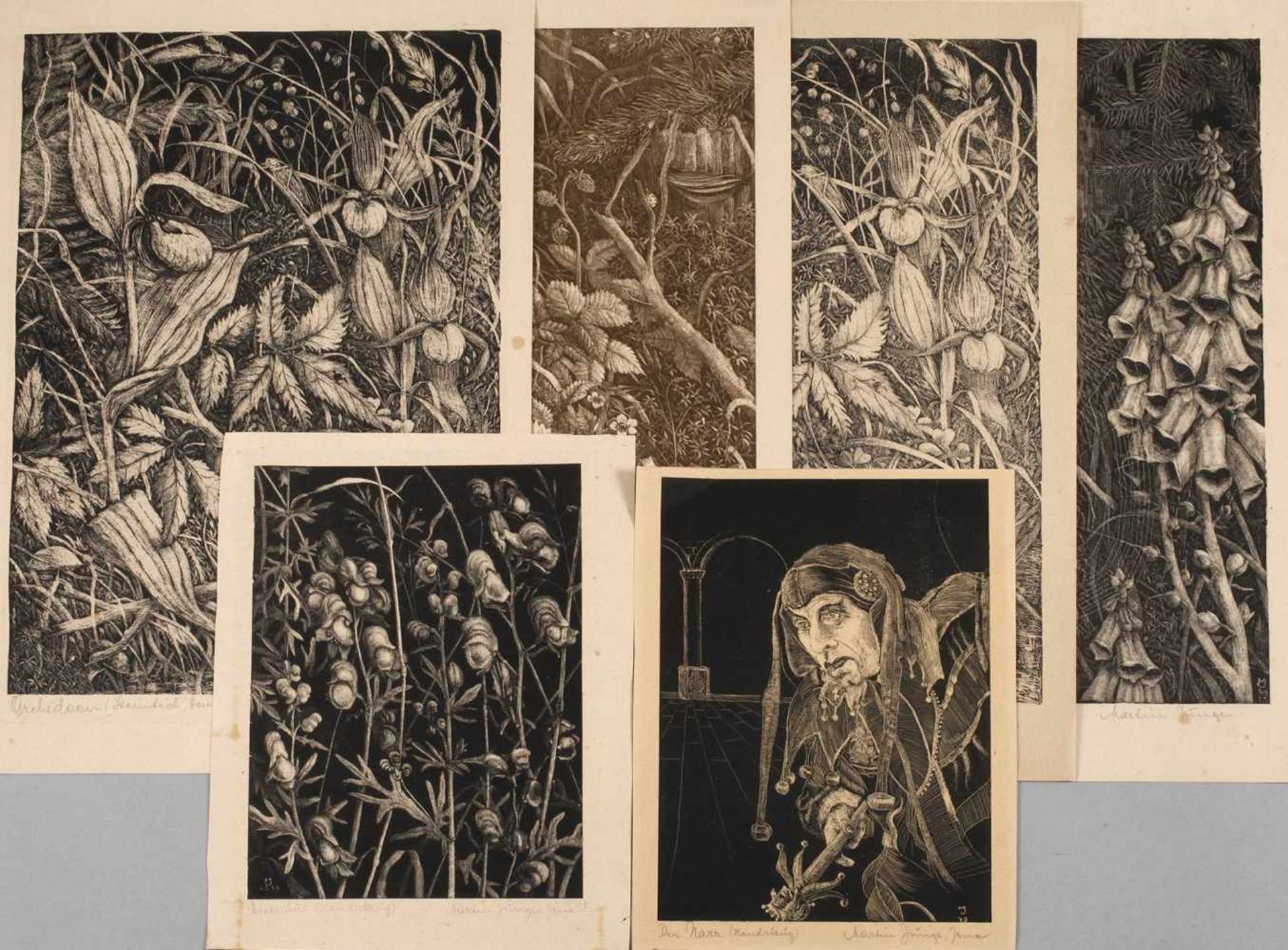 Martin Junge, Sammlung Lithographienacht Blatt Schablithographien auf verschiedenen Papieren,