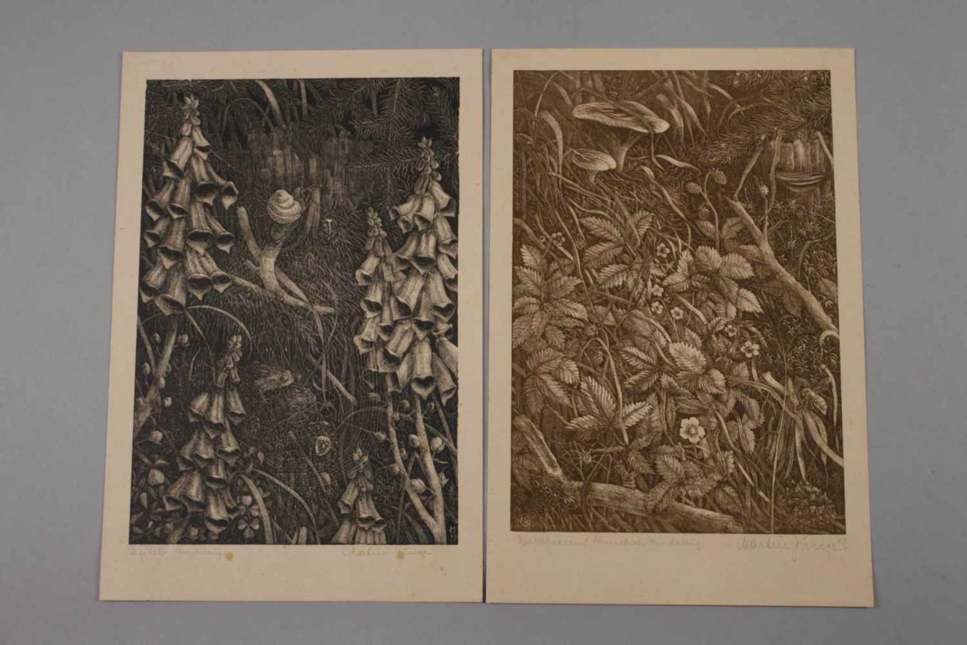 Martin Junge, Sammlung Lithographienacht Blatt Schablithographien auf verschiedenen Papieren, - Bild 3 aus 5