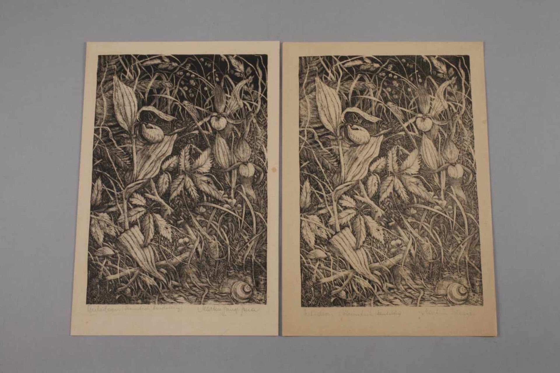 Martin Junge, Sammlung Lithographienacht Blatt Schablithographien auf verschiedenen Papieren, - Bild 2 aus 5