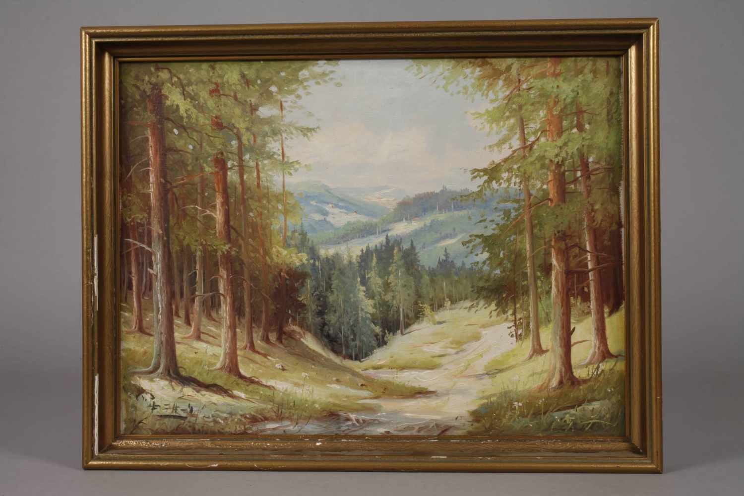 Pfeuffer, "Thüringer Waldlandschaft"sommerlicher Blick von einer Anhöhe, entlang eines Waldweges, in - Image 2 of 4