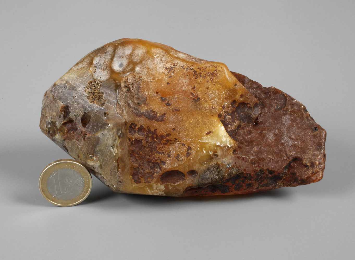 Rohbernsteinpartiell beschliffenes, großes Segment, L 13 cm, G ca. 212 g.