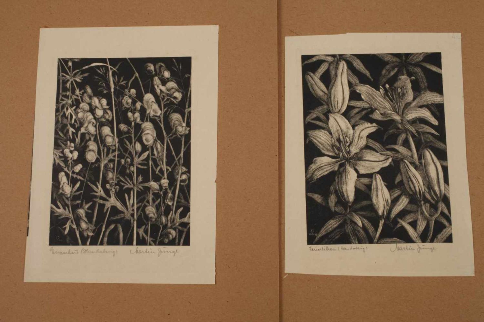 Martin Junge, Sammlung Lithographienacht Blatt Schablithographien auf verschiedenen Papieren, - Bild 5 aus 5
