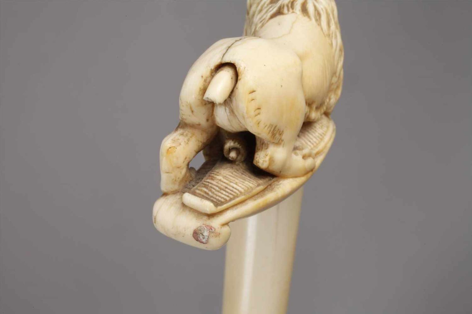 Spazierstock Elfenbeinum 1880, geschwungenes Griffstück aus fein beschnitztem Elfenbein, verziert - Bild 5 aus 6
