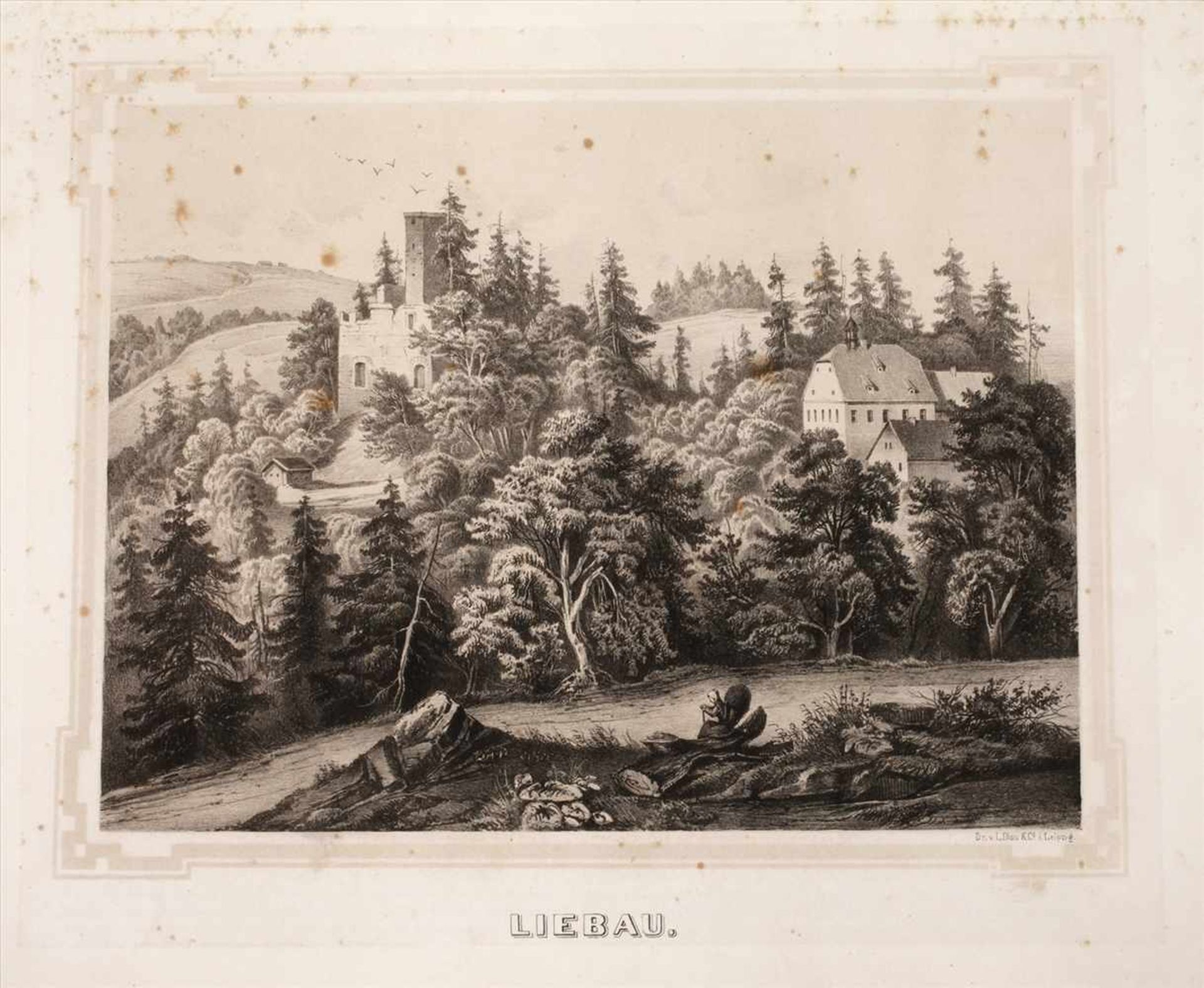 Ansicht "Liebau"Blick auf die teils von Bäumen verdeckte Burgruine, aus Gustav Adolph Poenicke "