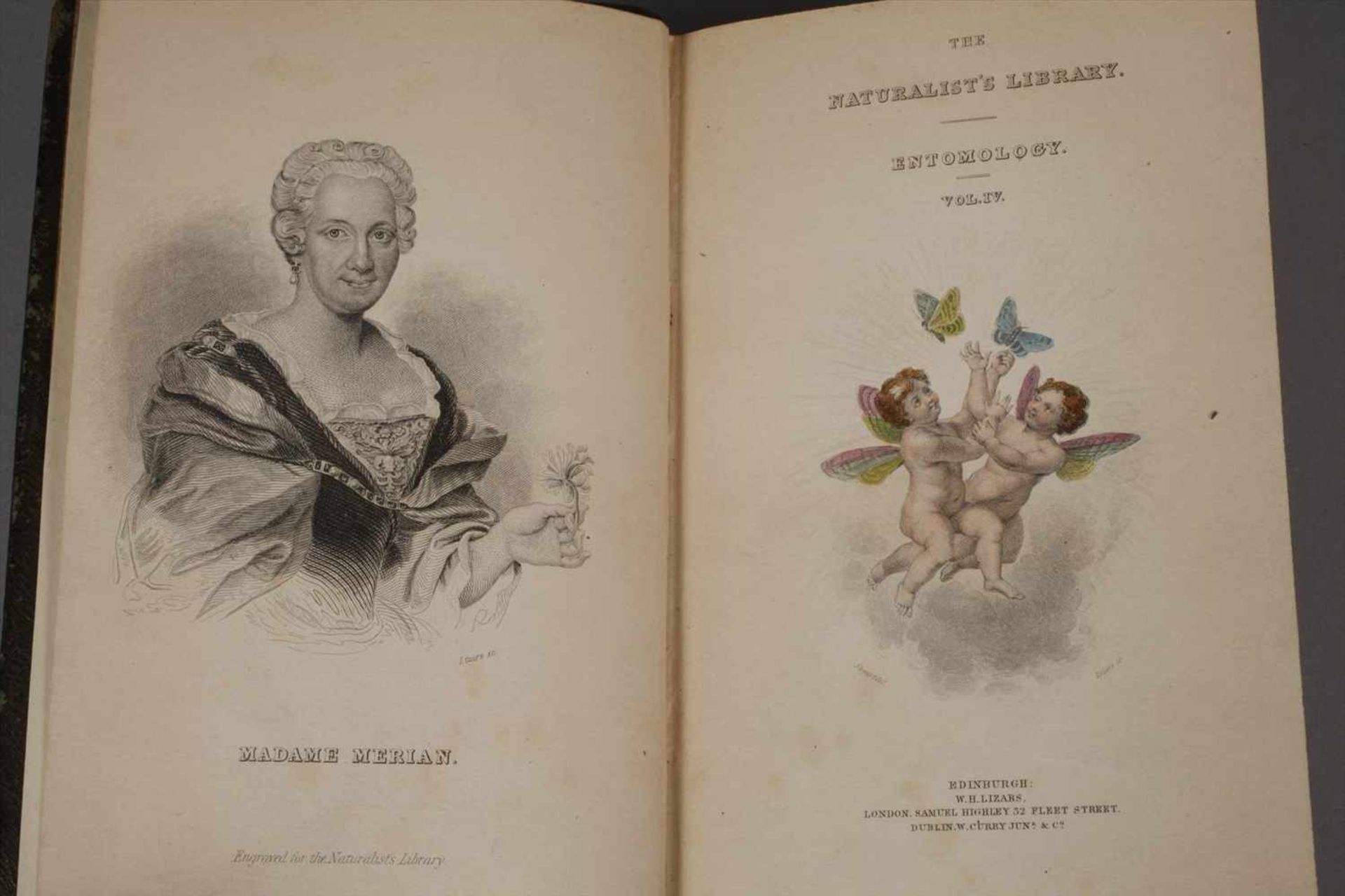 The Natural History40 Bde., Edinburgh bei Lizars 1833-1843, Format 8°, grüne geprägte Ledereinbände, - Bild 6 aus 11