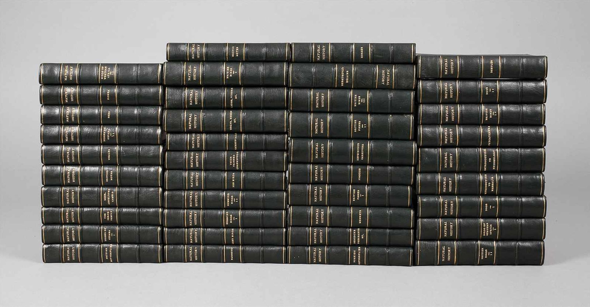 The Natural History40 Bde., Edinburgh bei Lizars 1833-1843, Format 8°, grüne geprägte Ledereinbände,