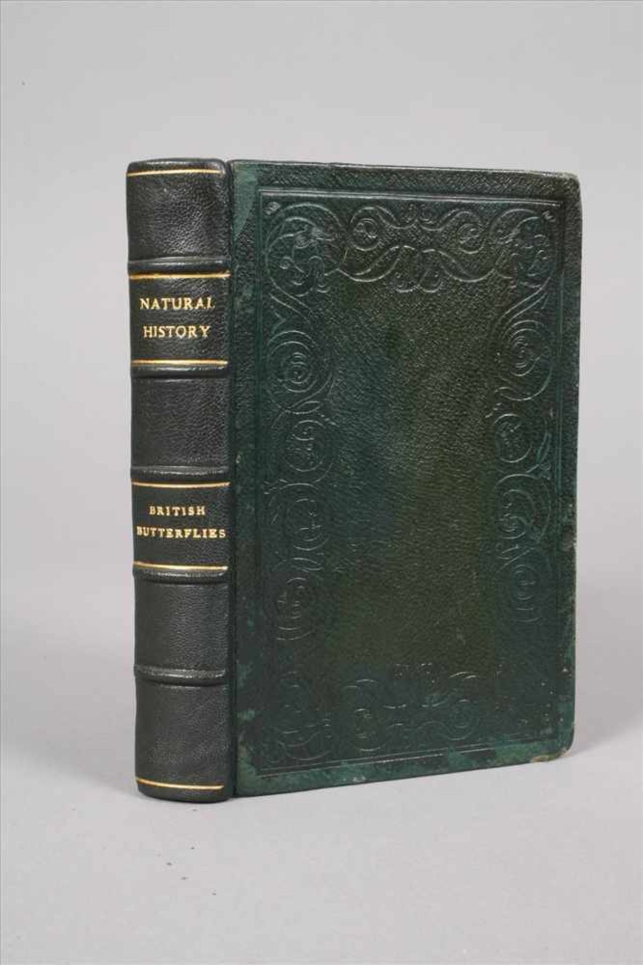 The Natural History40 Bde., Edinburgh bei Lizars 1833-1843, Format 8°, grüne geprägte Ledereinbände, - Bild 11 aus 11
