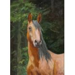 Siegfried Hauffe, PferdeportraitBildnis eines braunen Pferdes vor Fichtenwaldkulisse, Öl auf Karton,