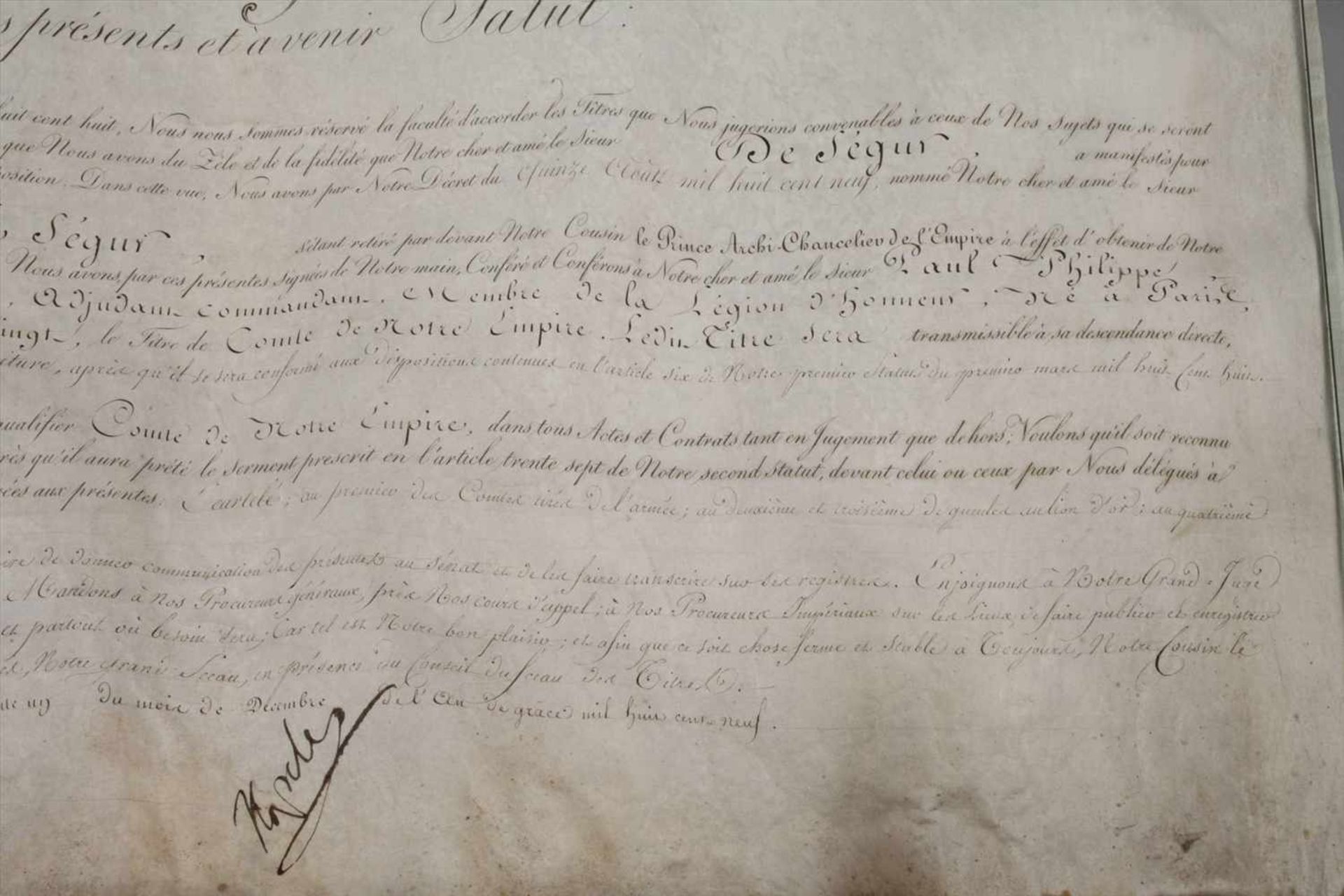 Lettre Patente mit dem Autogramm Napoleon I.Erhebung zum Comte de l'Empire von Philippe-Paul de - Bild 13 aus 20