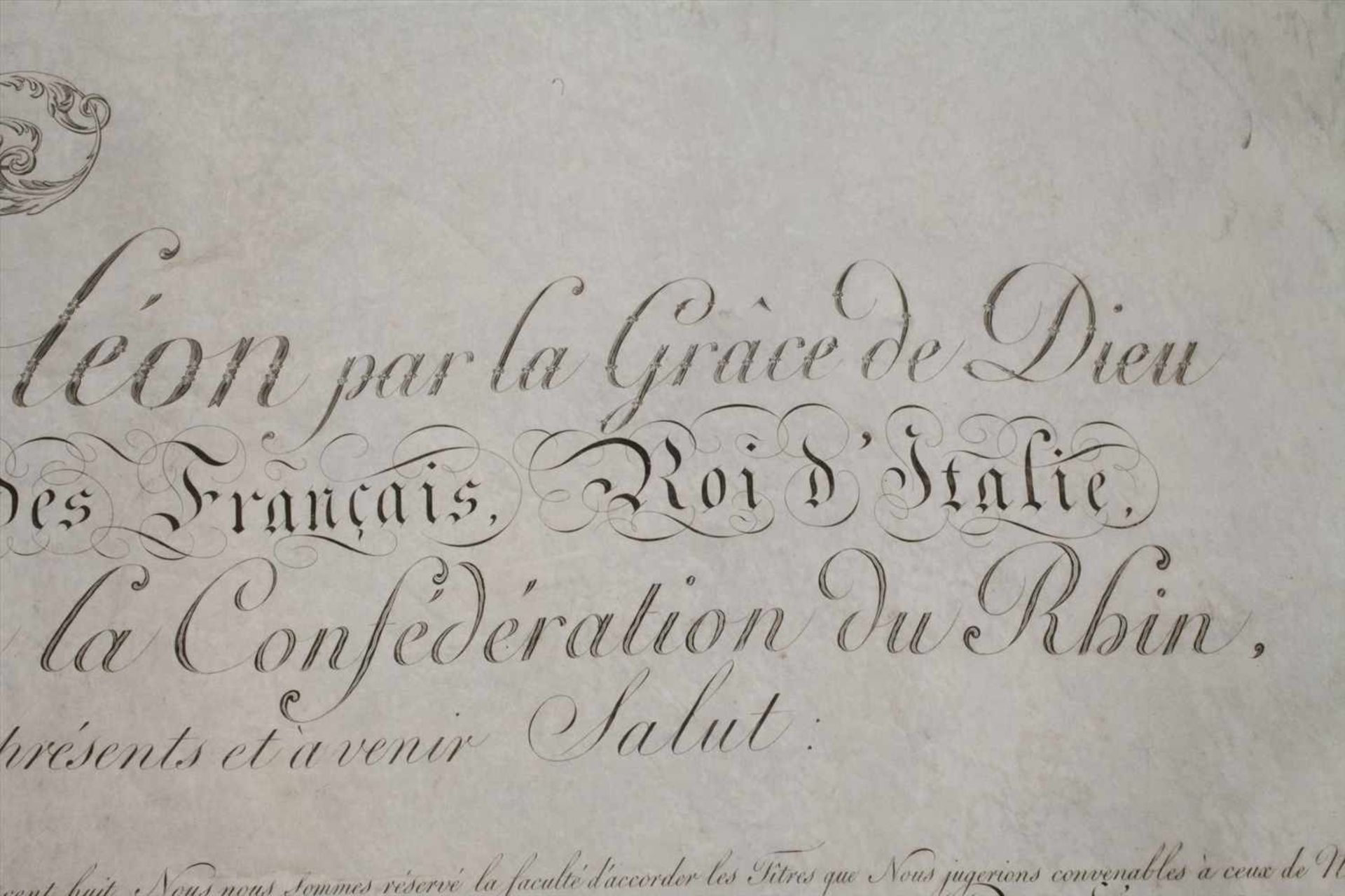 Lettre Patente mit dem Autogramm Napoleon I.Erhebung zum Comte de l'Empire von Philippe-Paul de - Bild 15 aus 20