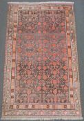 Kashgar Xinjiang Teppich. China, Ost-Turkestan. Antik, um 1900.265 cm x 138 cm. Handgeknüpft.