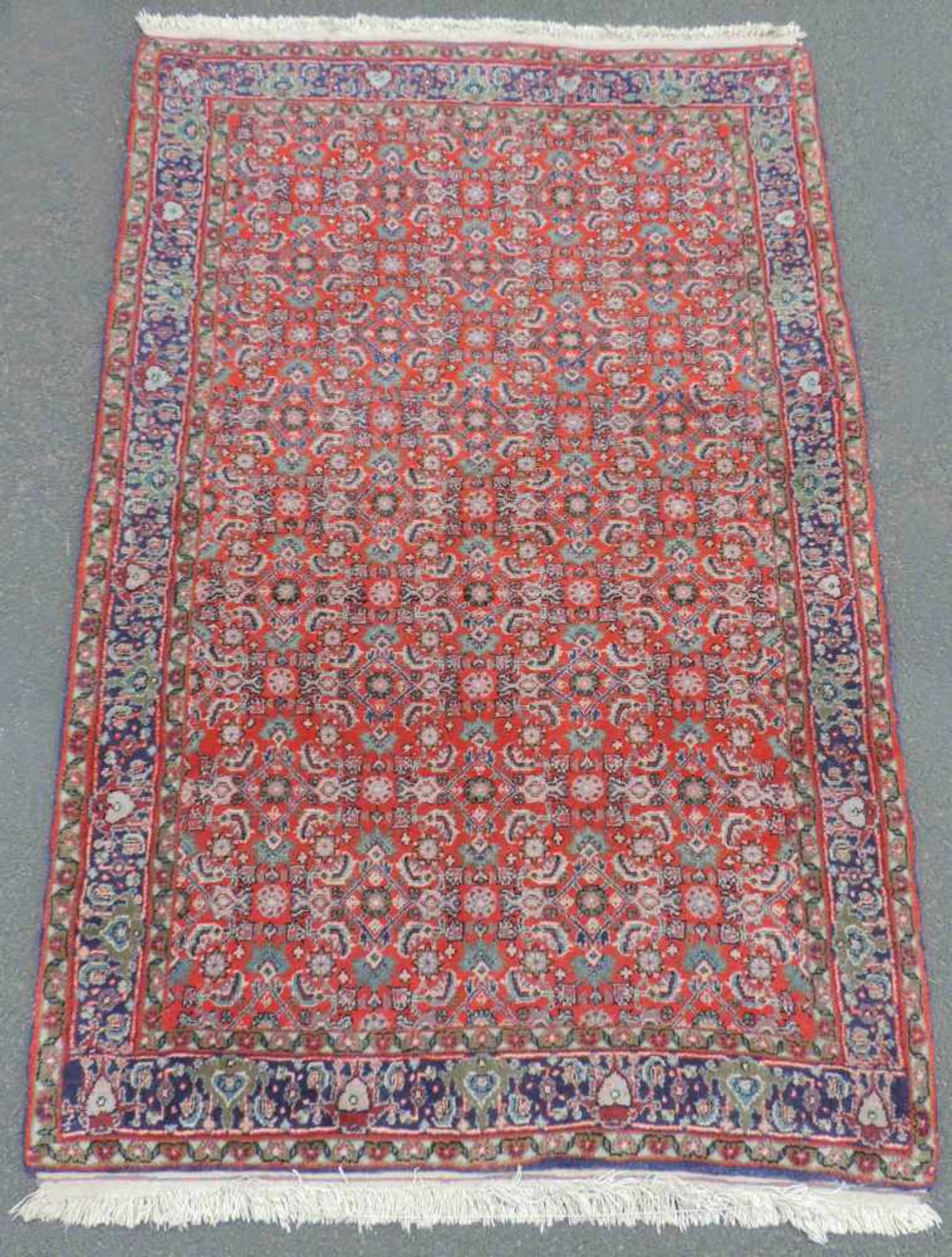 Bidjar Perserteppich. Iran. Alt, um 1950.170 cm x 112 cm. Orientteppich. Handgeknüpft. Wolle auf