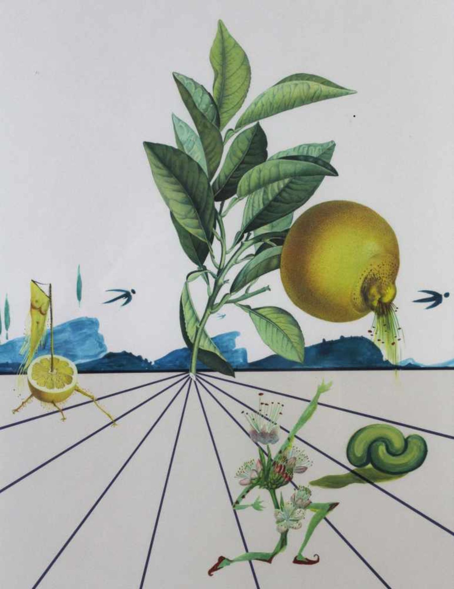 Salvador DALI (1904 - 1989). Flordali (1981).65 cm x 97 cm die Abbildung. Im Druck unten rechts - Image 9 of 10